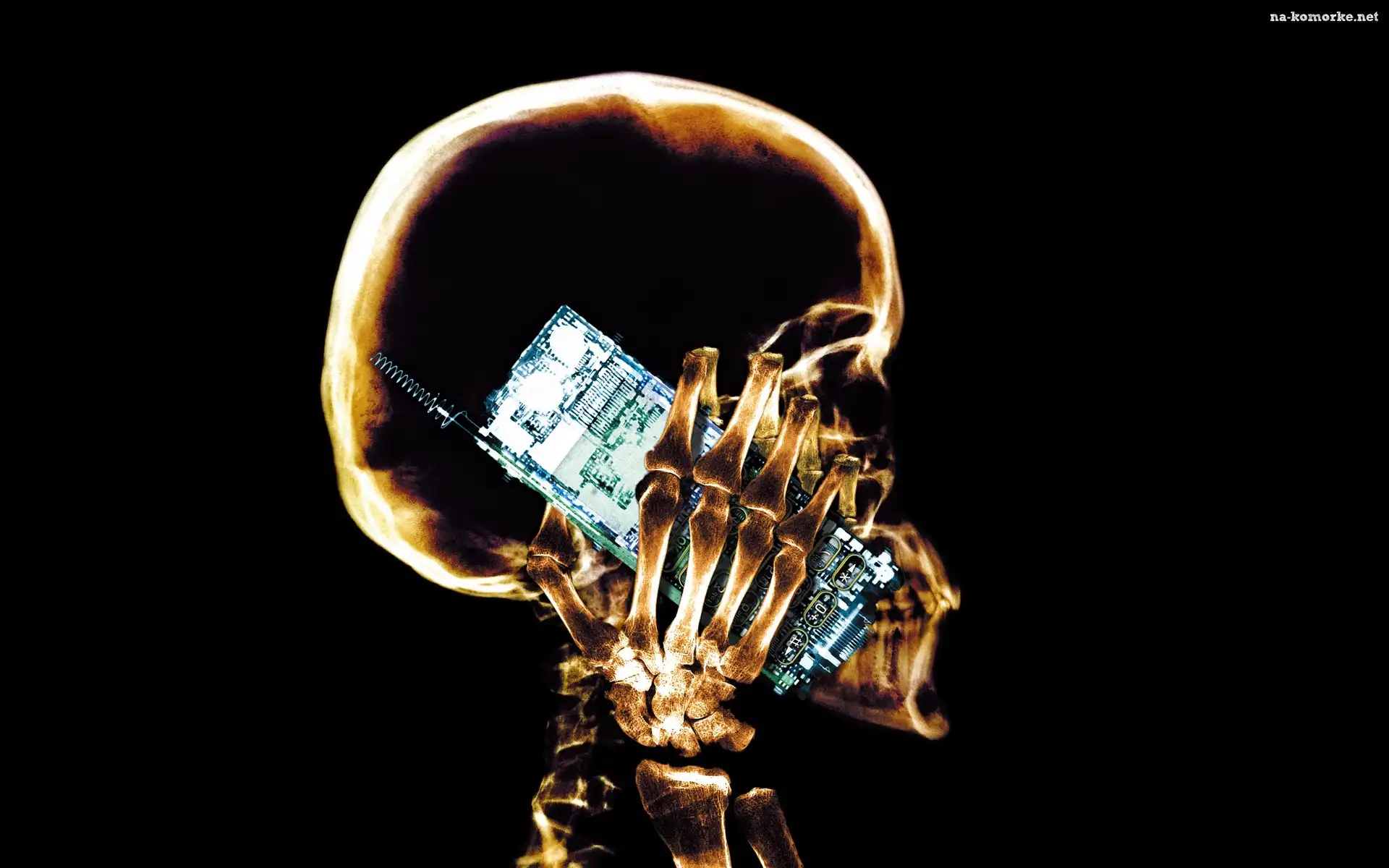 Czaszka, Telefon