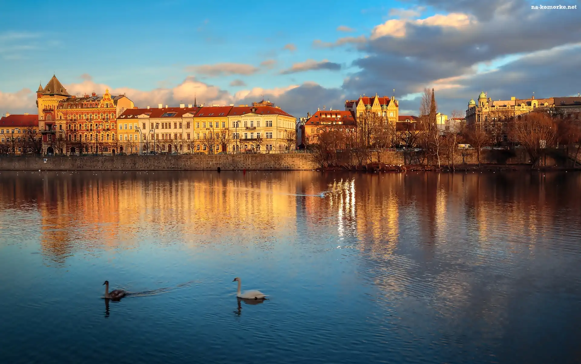 Czechy, Łabędzie, Praga, Rzeka
