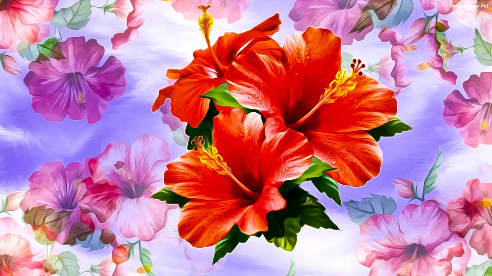 Czerwone, Grafika, Kwiaty, Hibiskusy