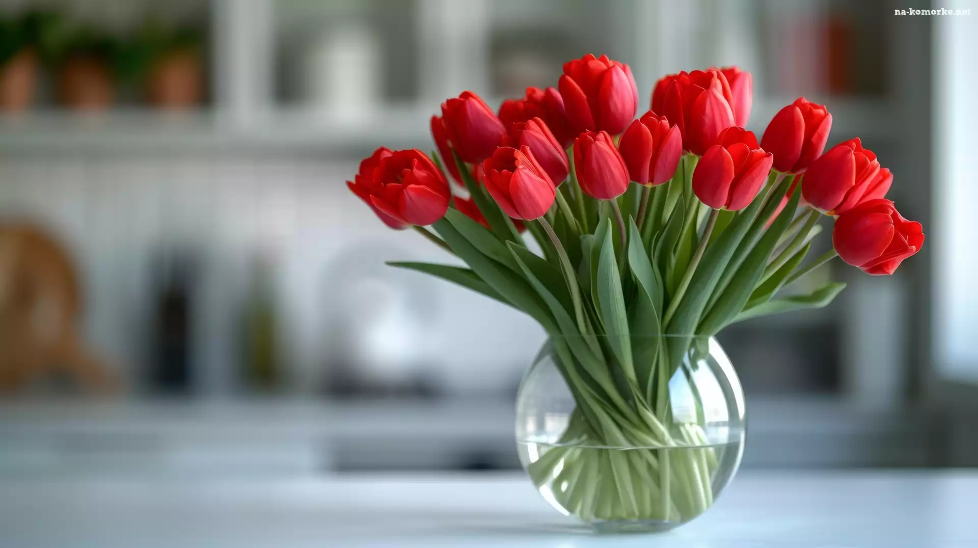 Tulipany, Wazon, Kwiaty, Czerwone