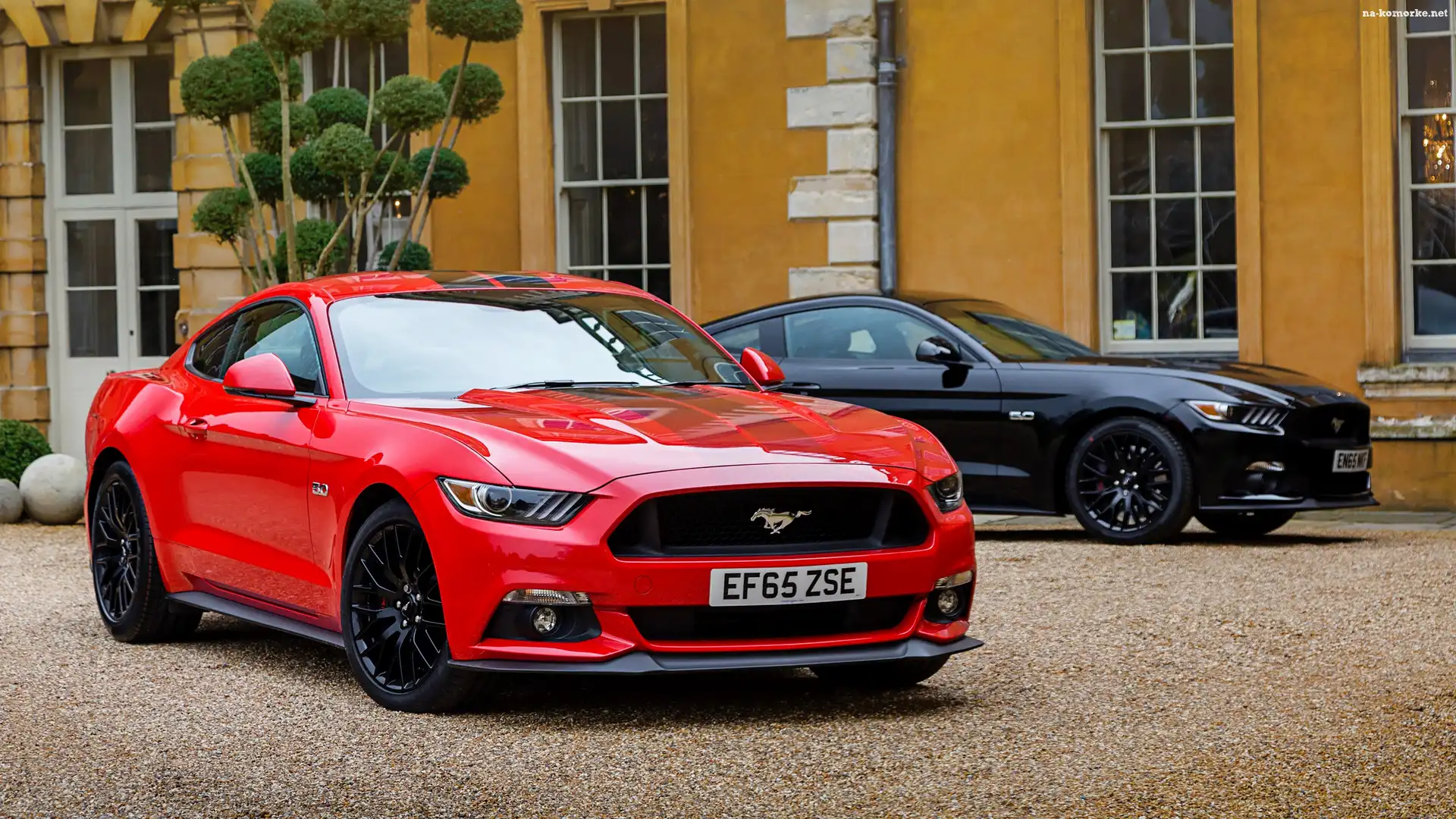 Czerwony, Czarny, Ford Mustang