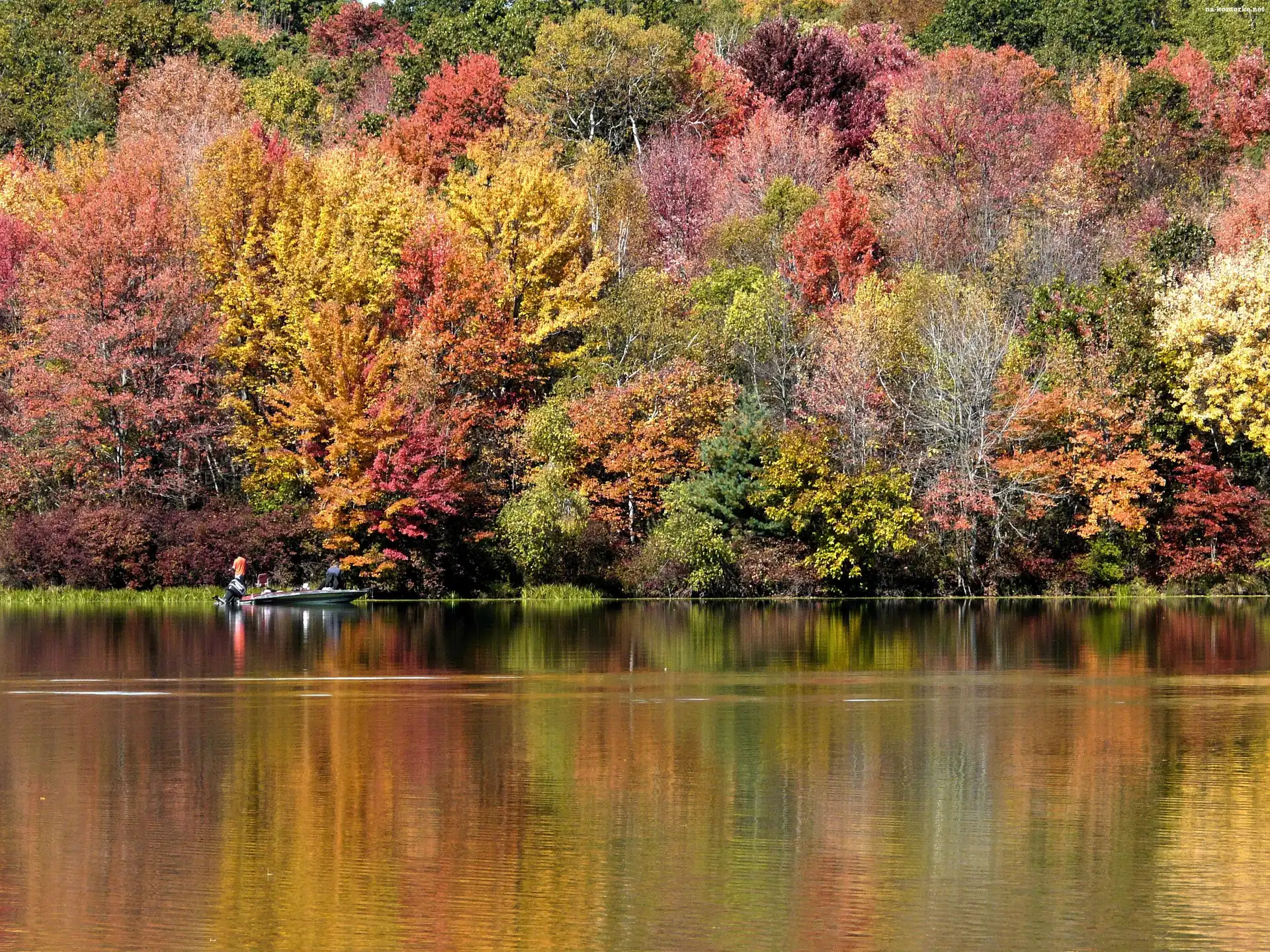Człowiek, Jezioro, Las, Jesień, Łódź