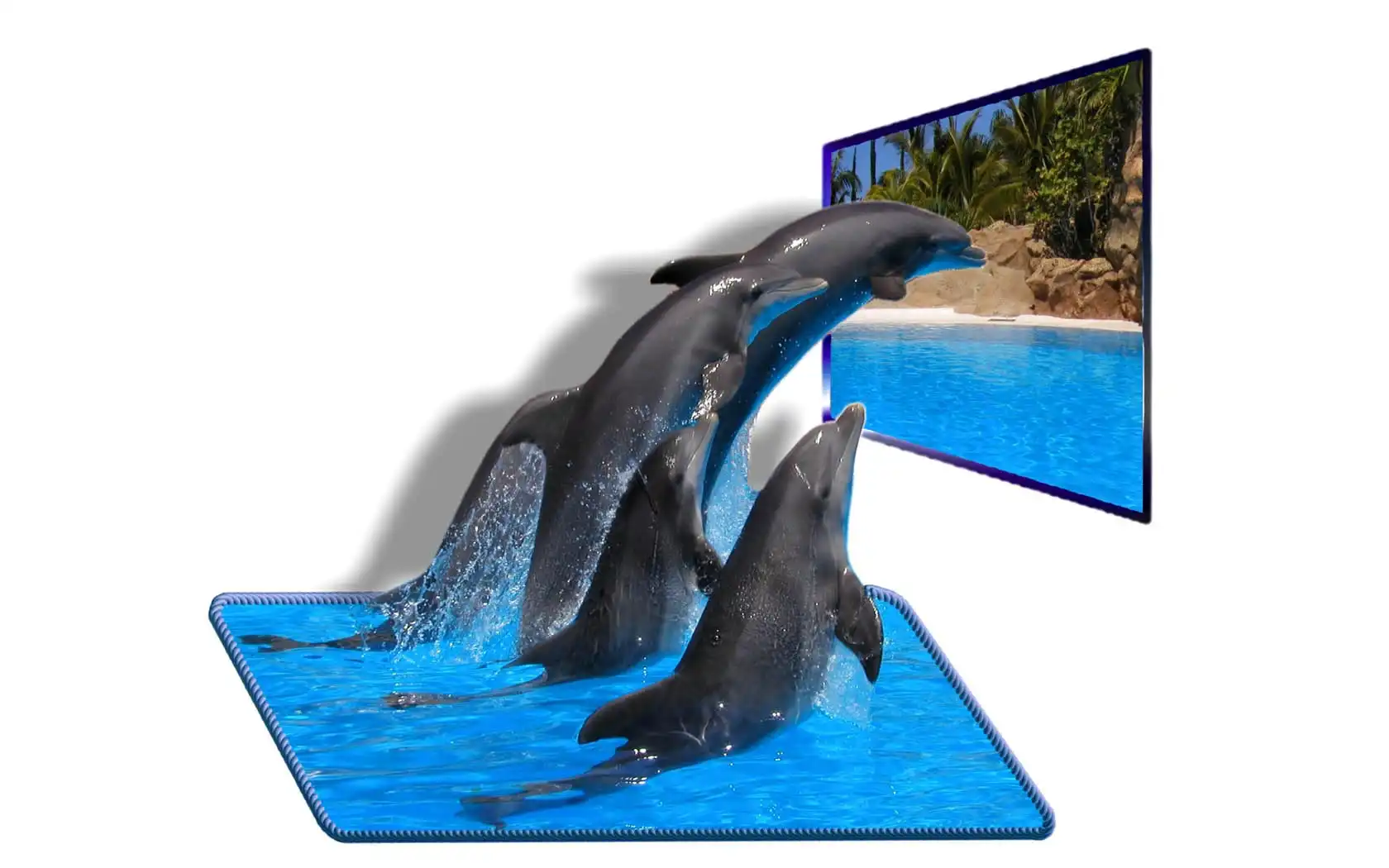 Cztery, 4D, Delfiny, Plaża