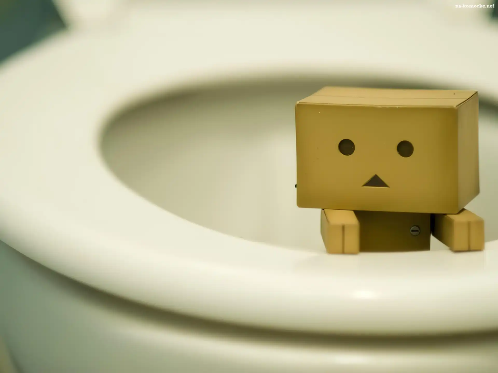 Danbo, Toaleta, Kartonowy, Ludzik