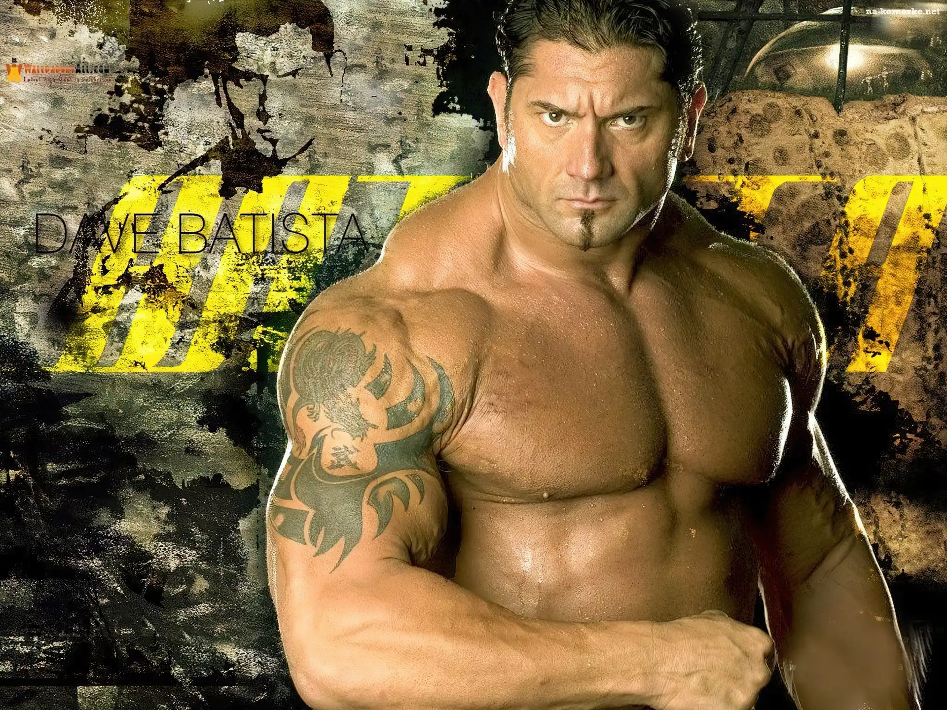 Dave Batista, Wrestling, WWE