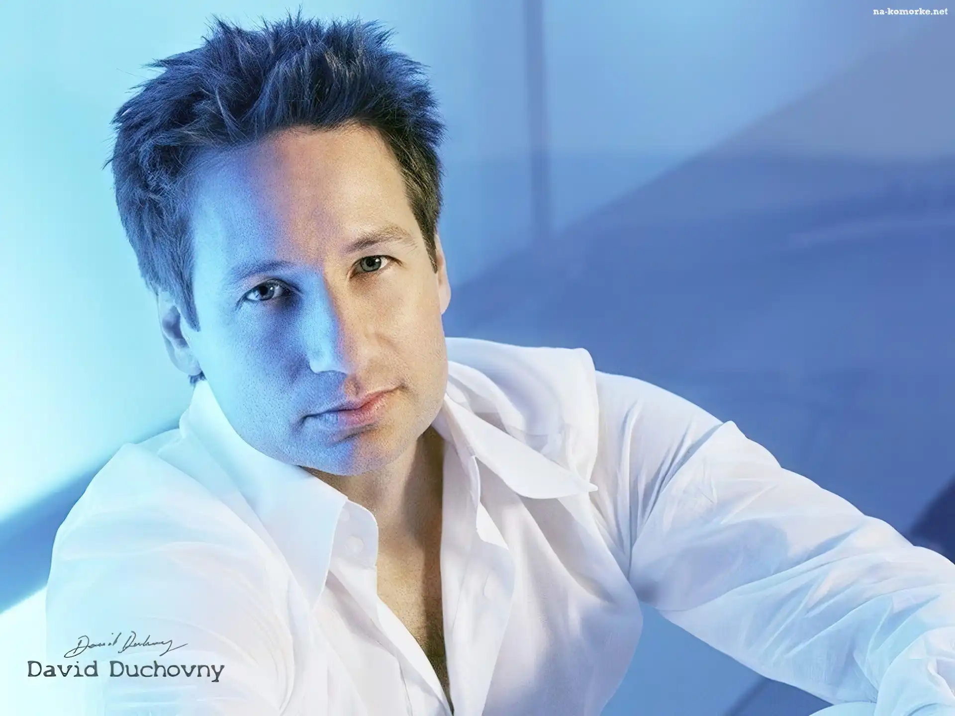 David Duchovny, biała koszula, ciemne włosy