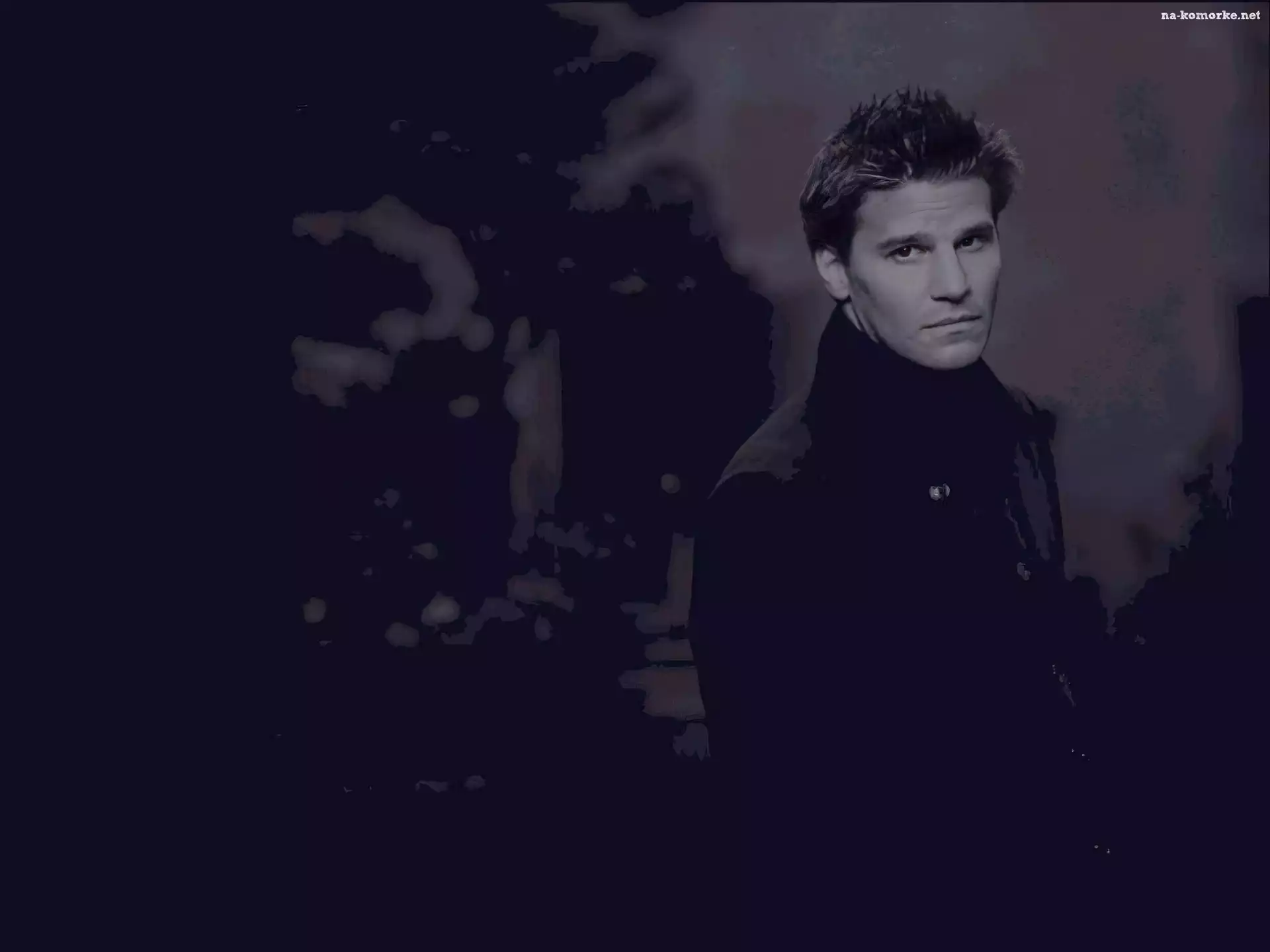 David Boreanaz, ciemny strój, jasne włosy