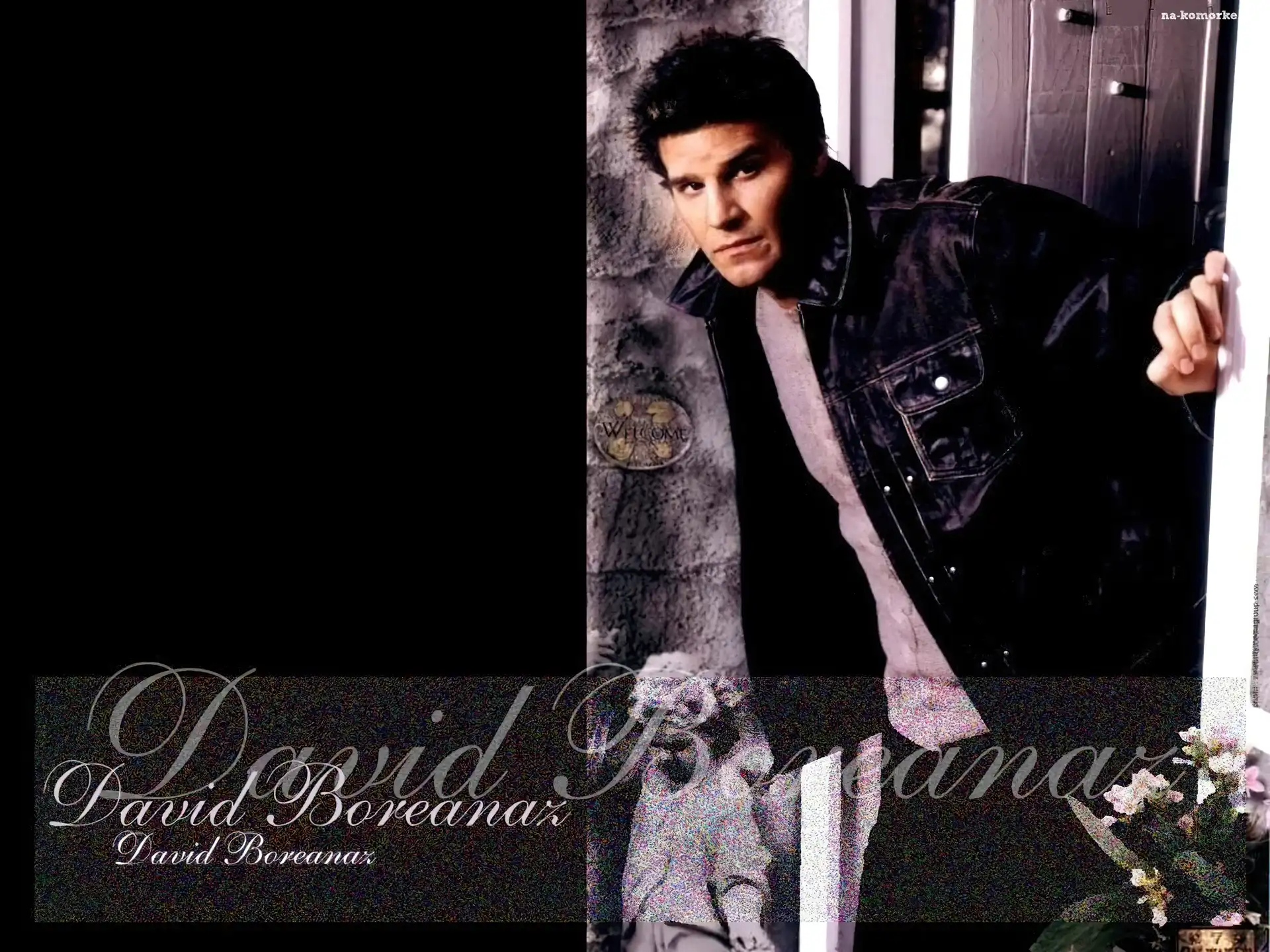 David Boreanaz, kurtka jeansowa
