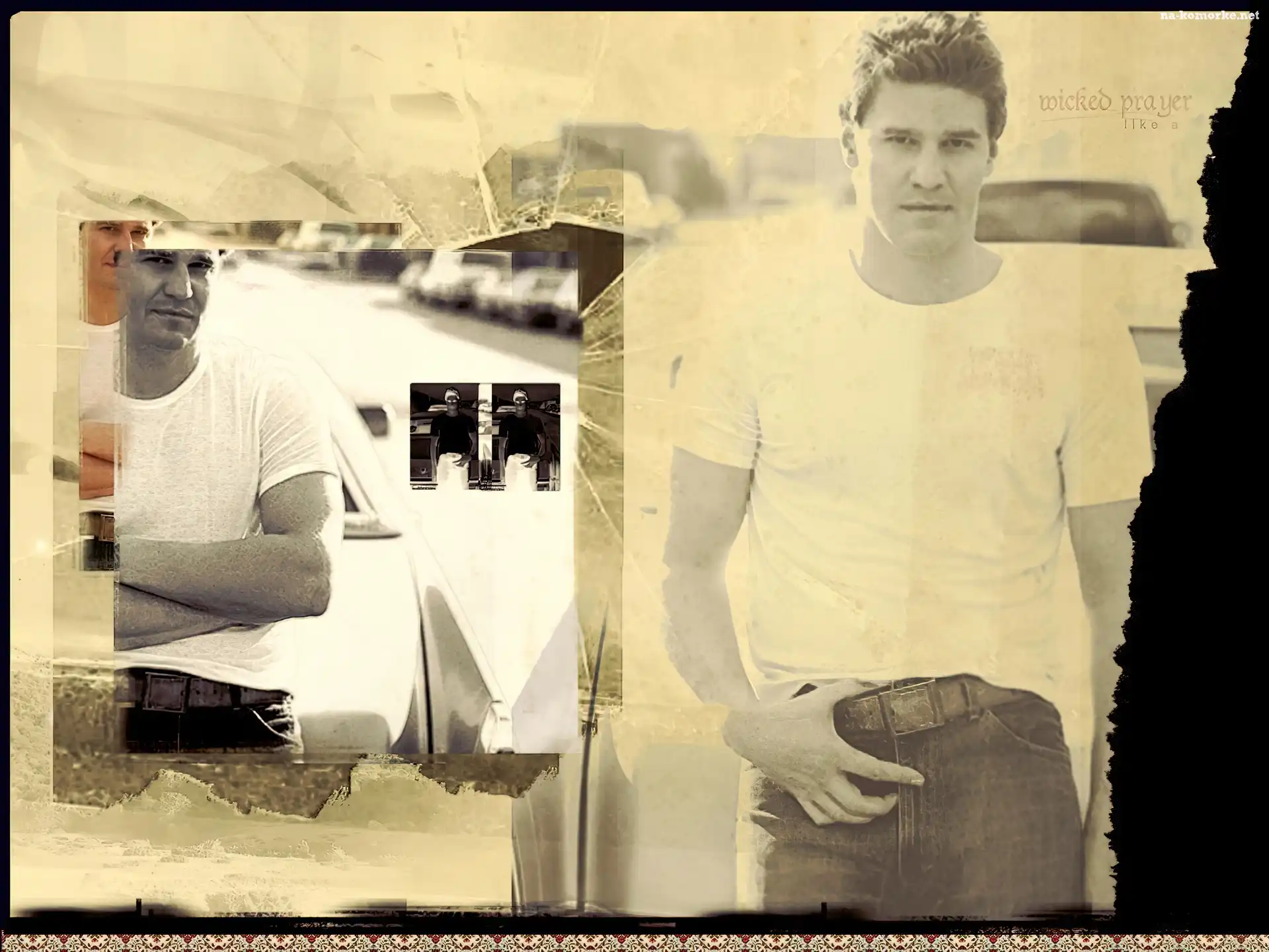 David Boreanaz, biały t-shirt, pasek