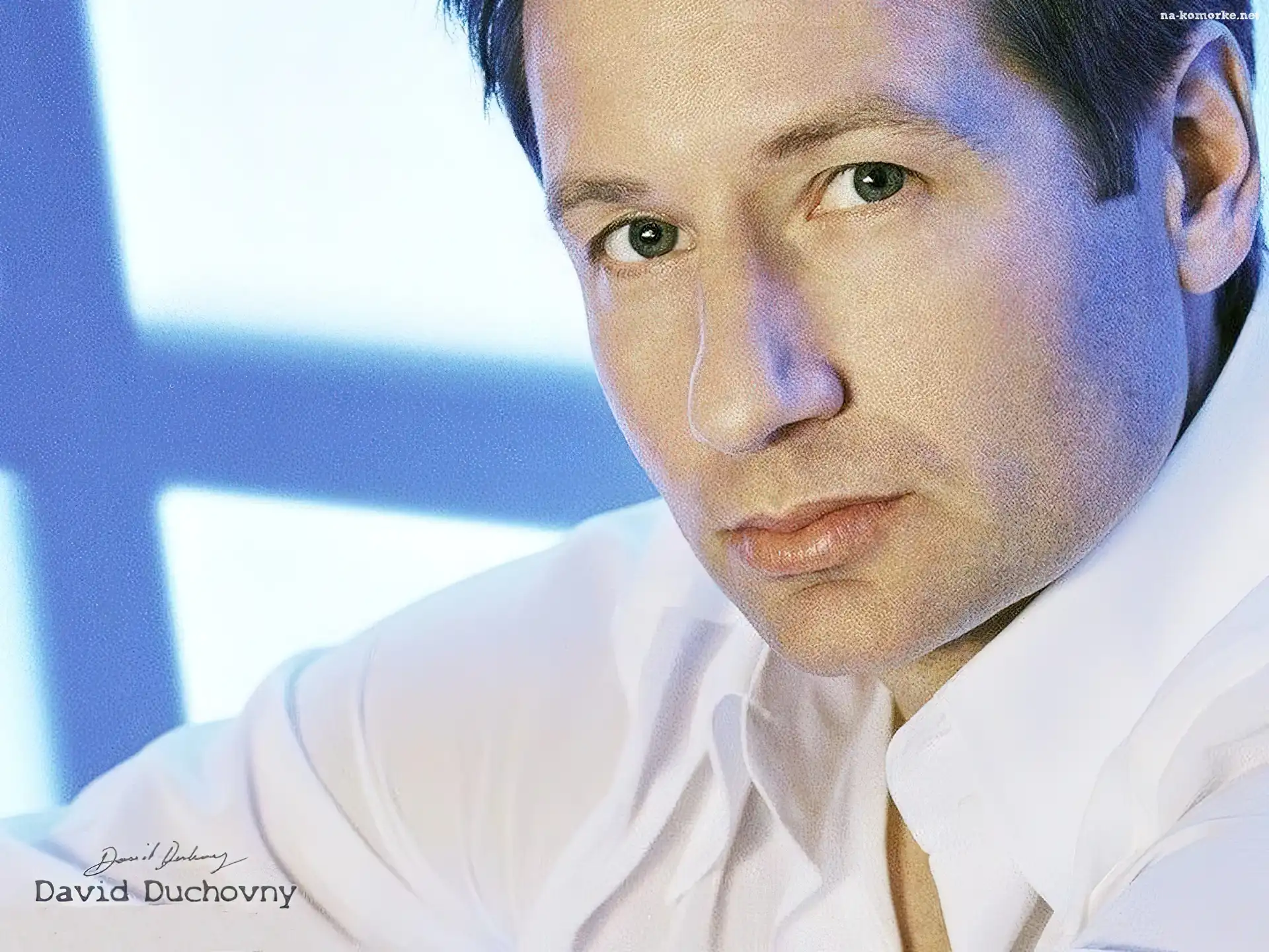 David Duchovny, biała koszula, zielone oczy