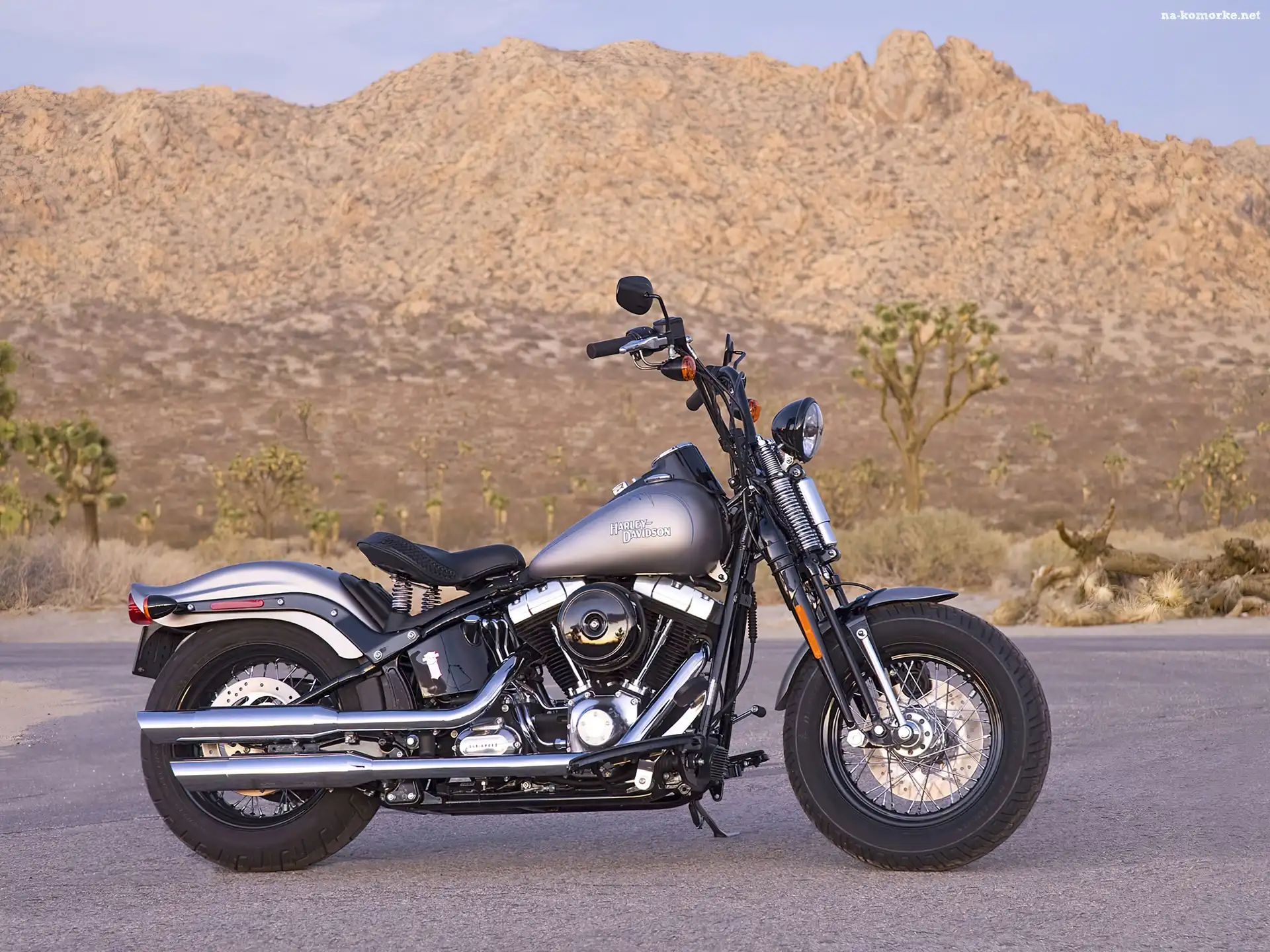 Harley Davidson Softail Cross Bones, Bak, Paliwa