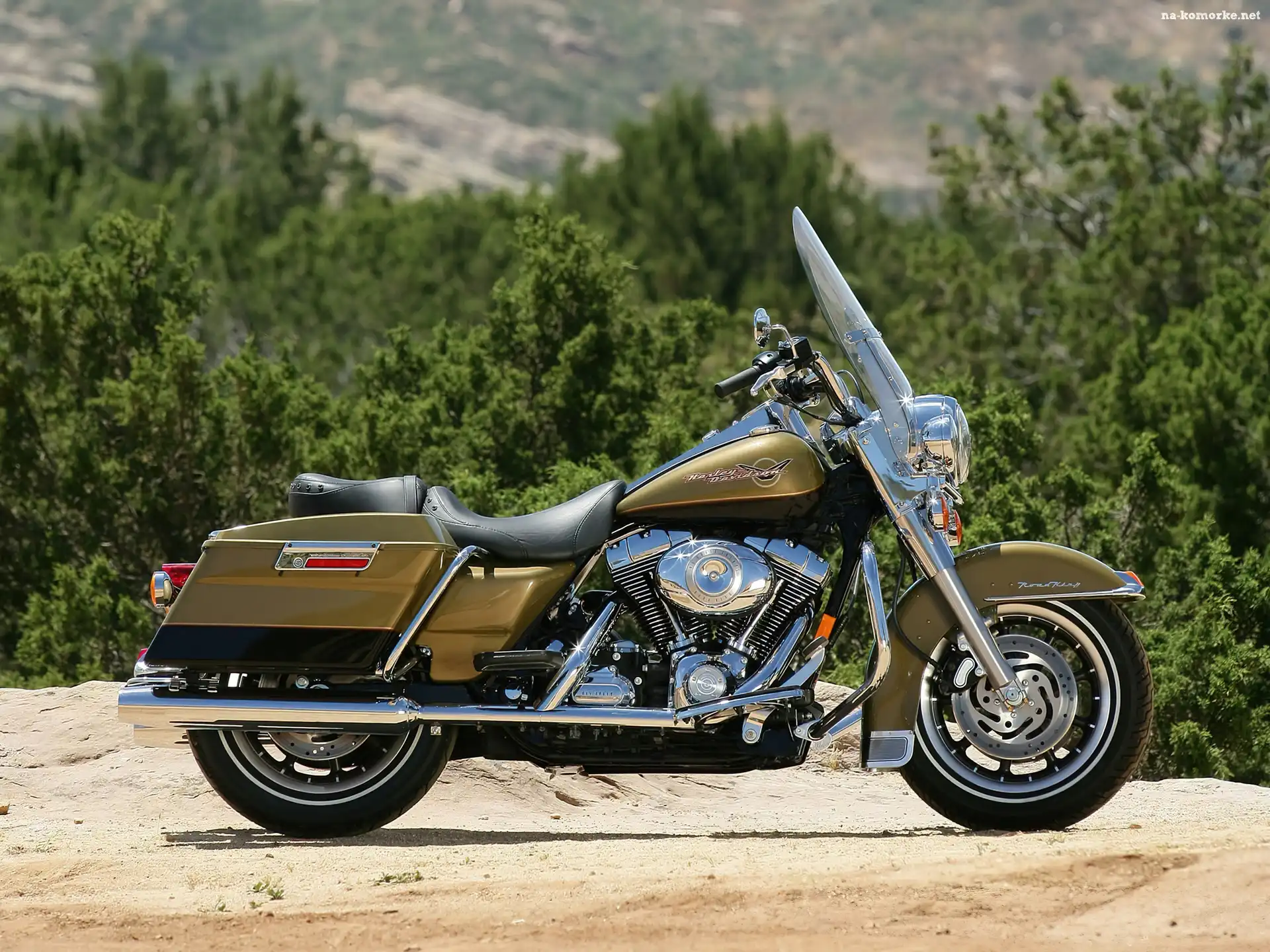 Harley Davidson FLHR Road King, Układ, Wydechowy