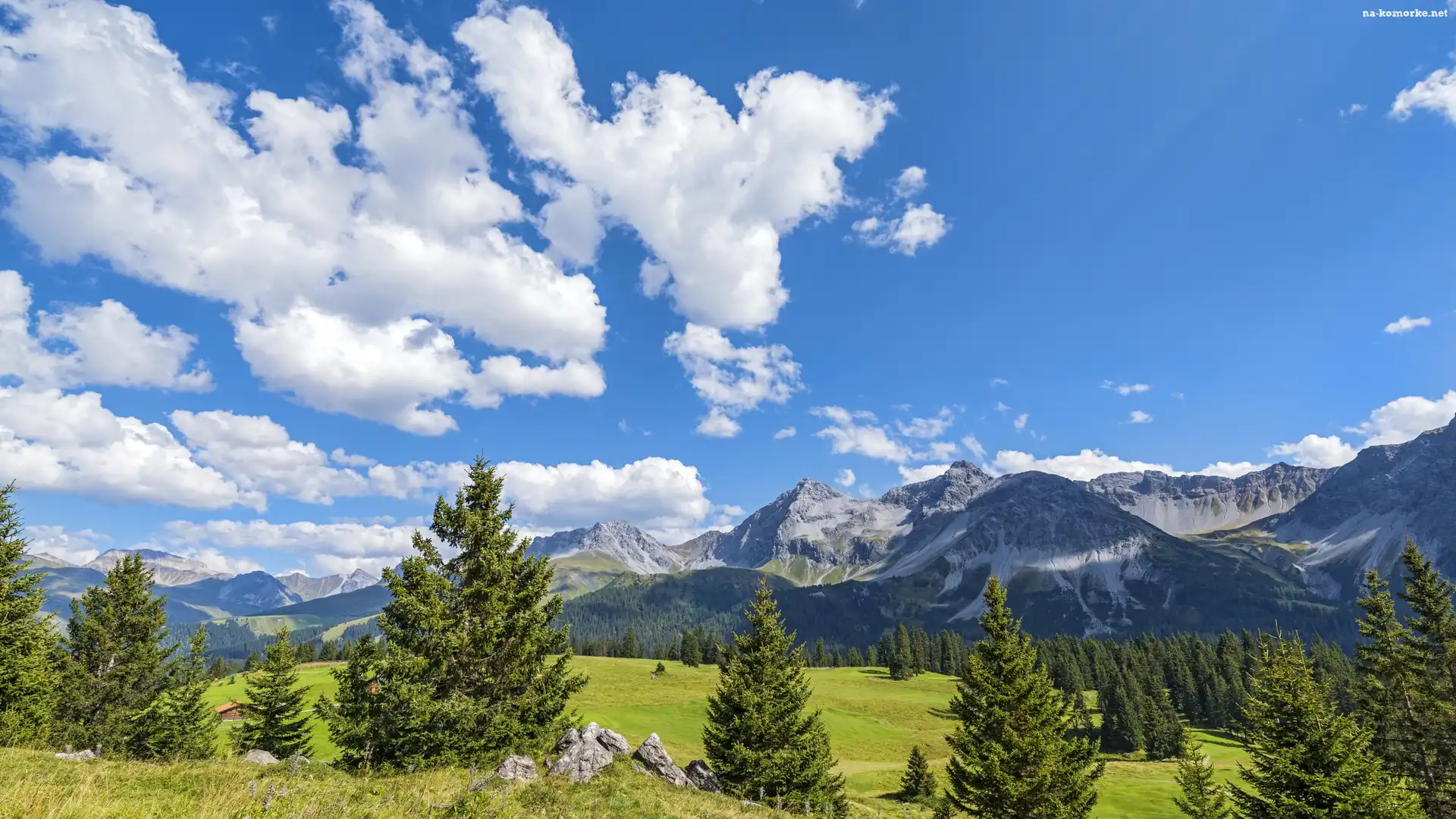 Drzewa, Davos, Szwajcaria, Chmury, Góry Albula-Alpen, Łąki