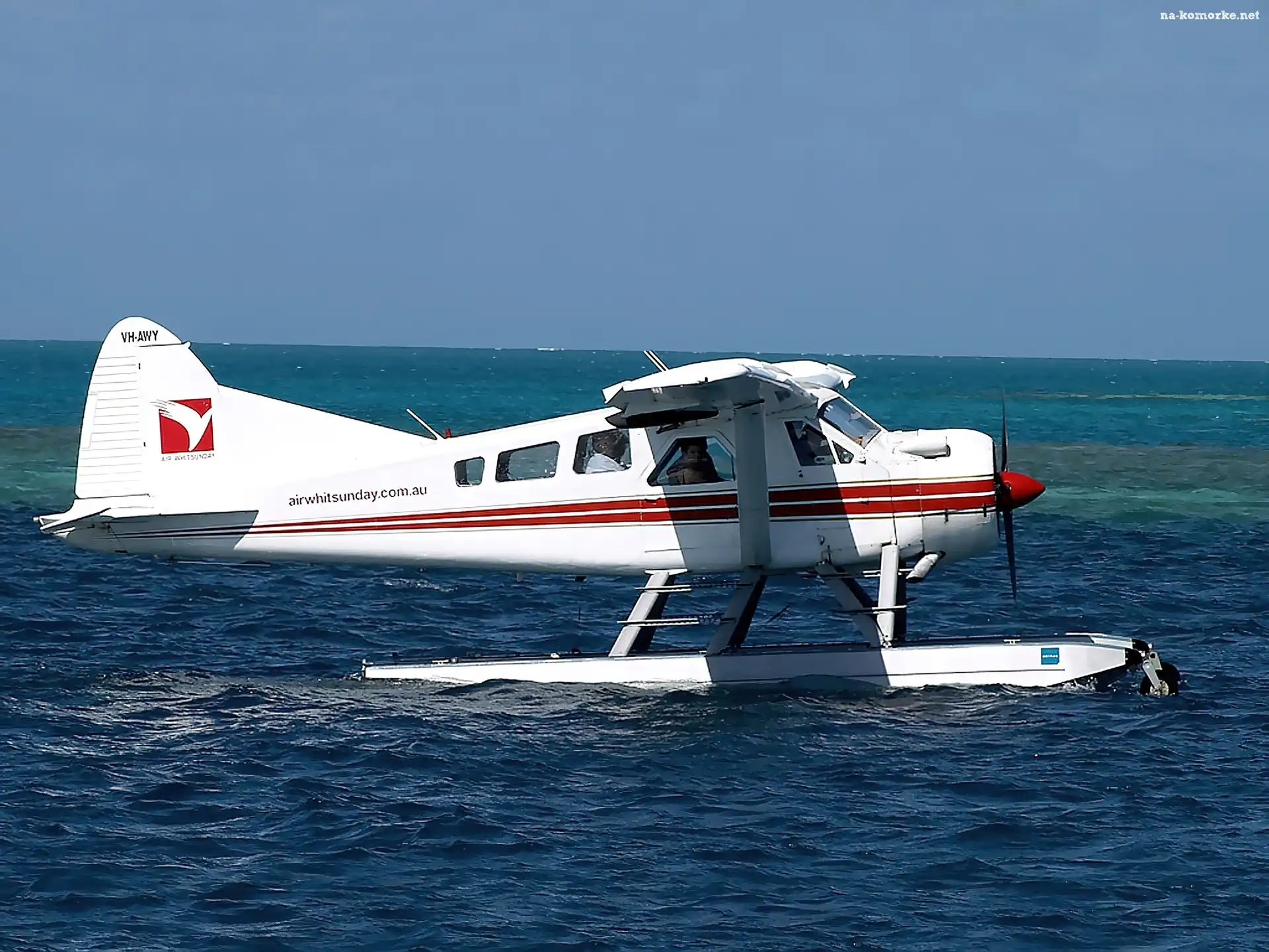De Havilland DHC-2