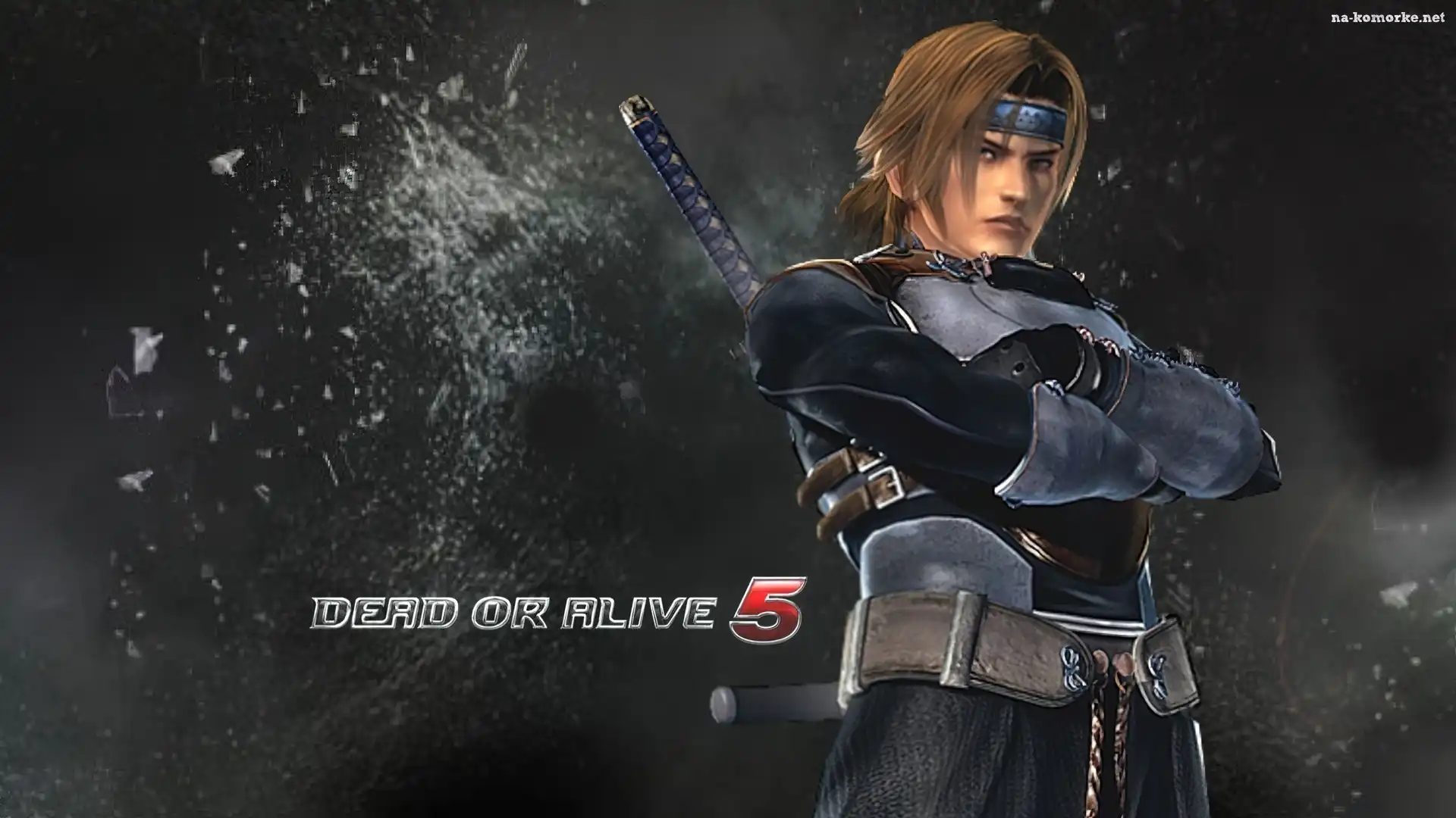 Dead Of Alive 5, Hayate
