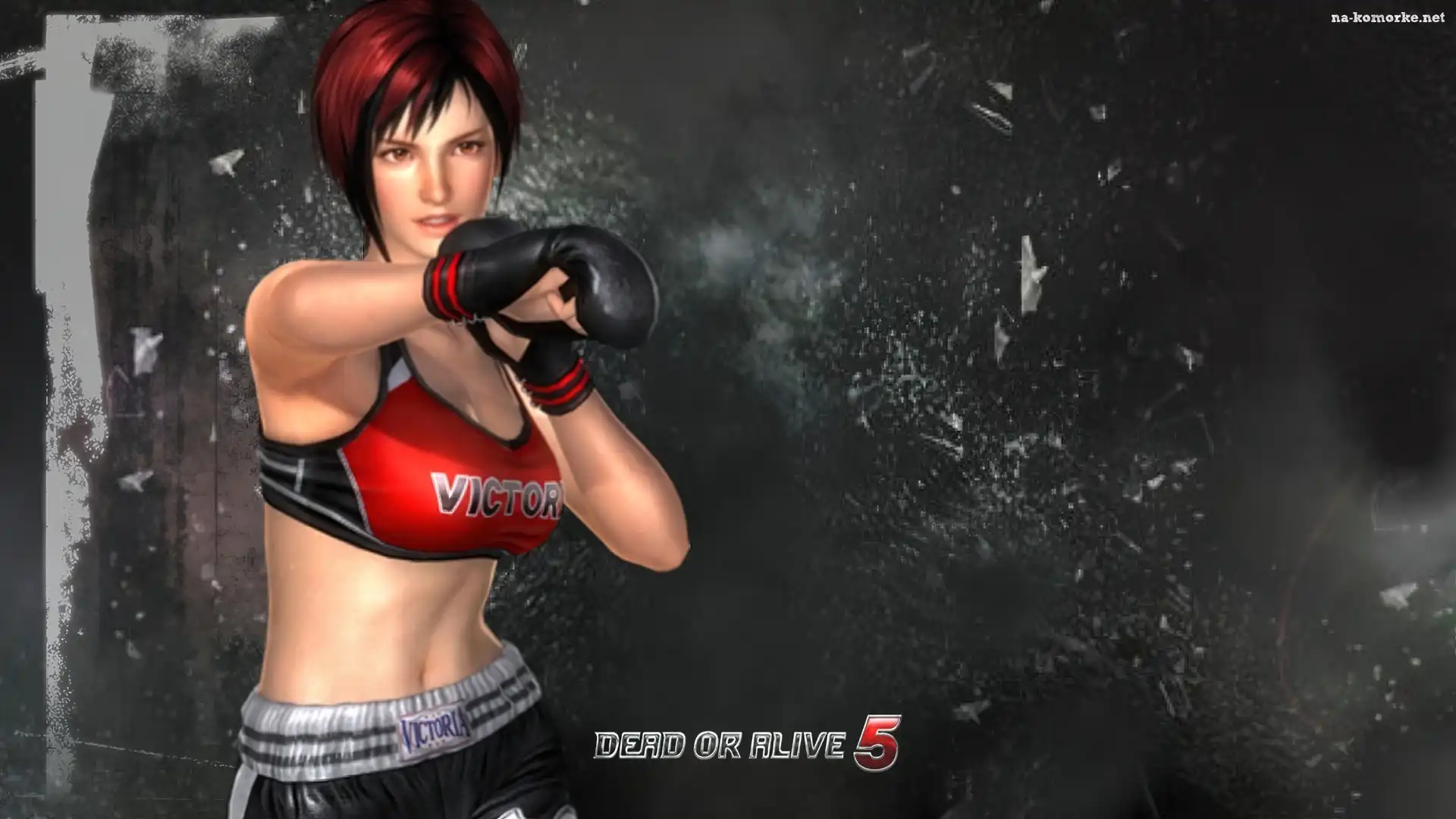 Dead Of Alive 5, Mila
