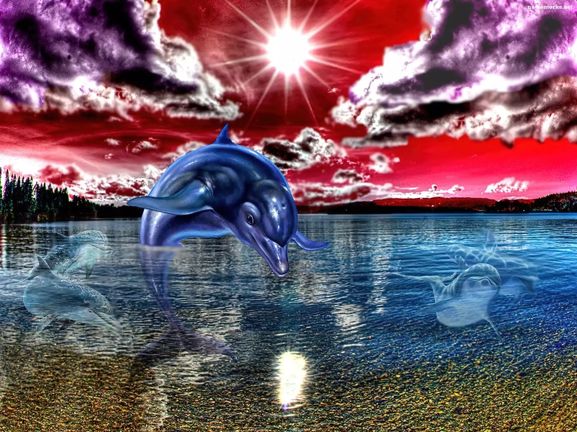 Delfin, Art, Zachód, Słońca