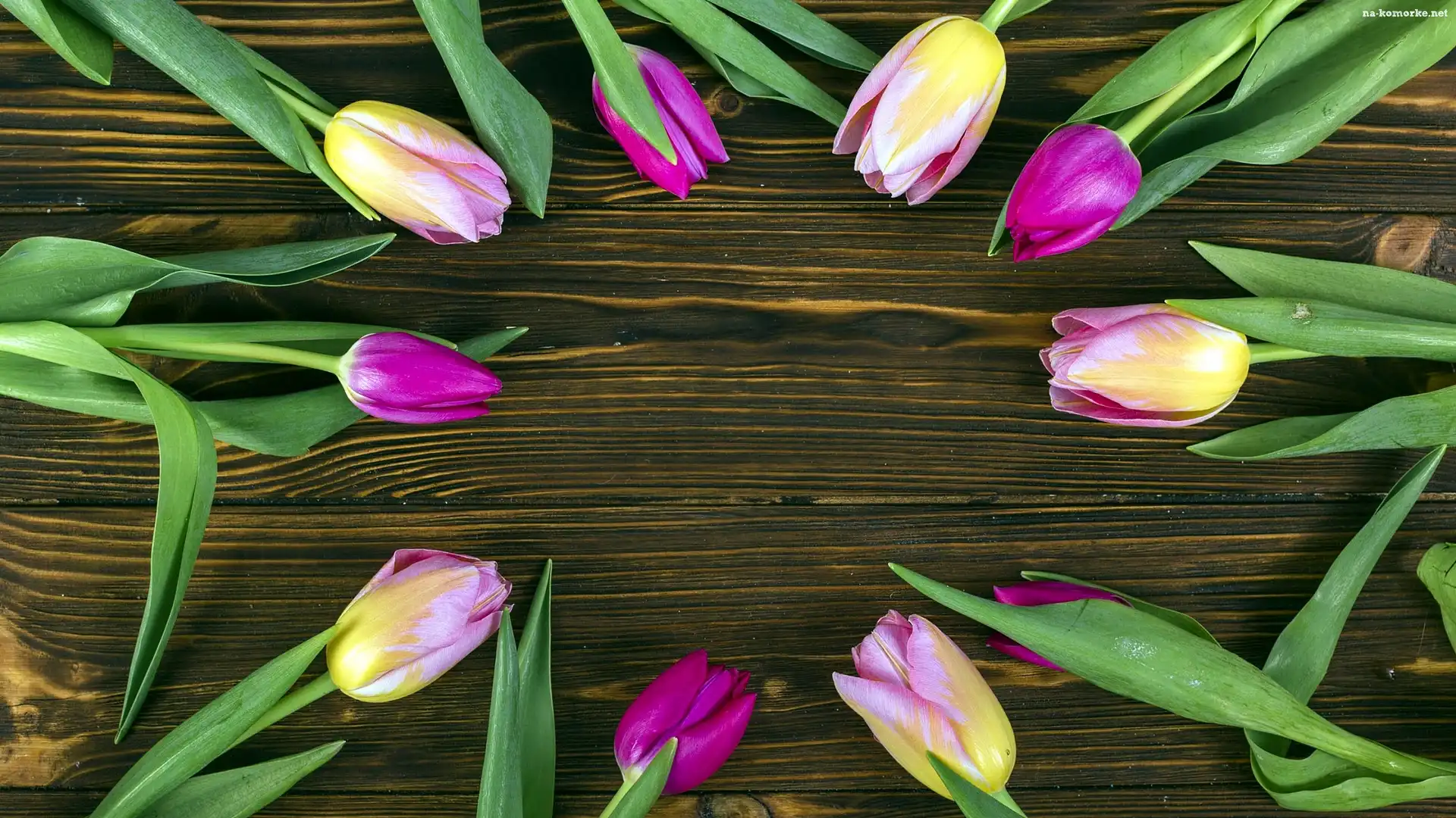 Deski, OkrÄ…g, Kolorowe, Tulipany, BrÄ…zowe
