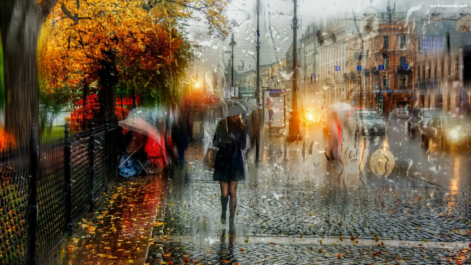 Deszcz, Petersburg, Kobieta, Parasol, Ulica