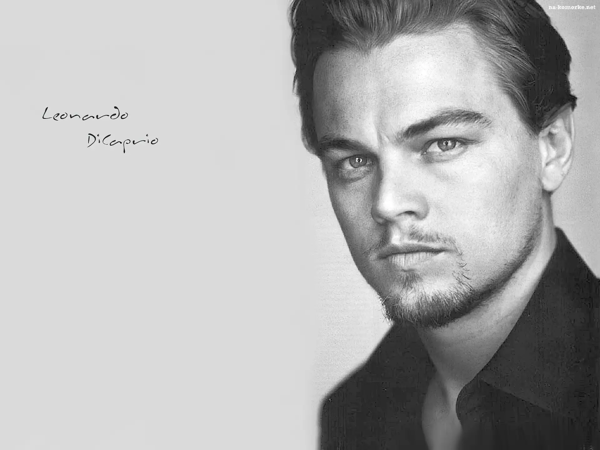 Leonardo DiCaprio, bródka