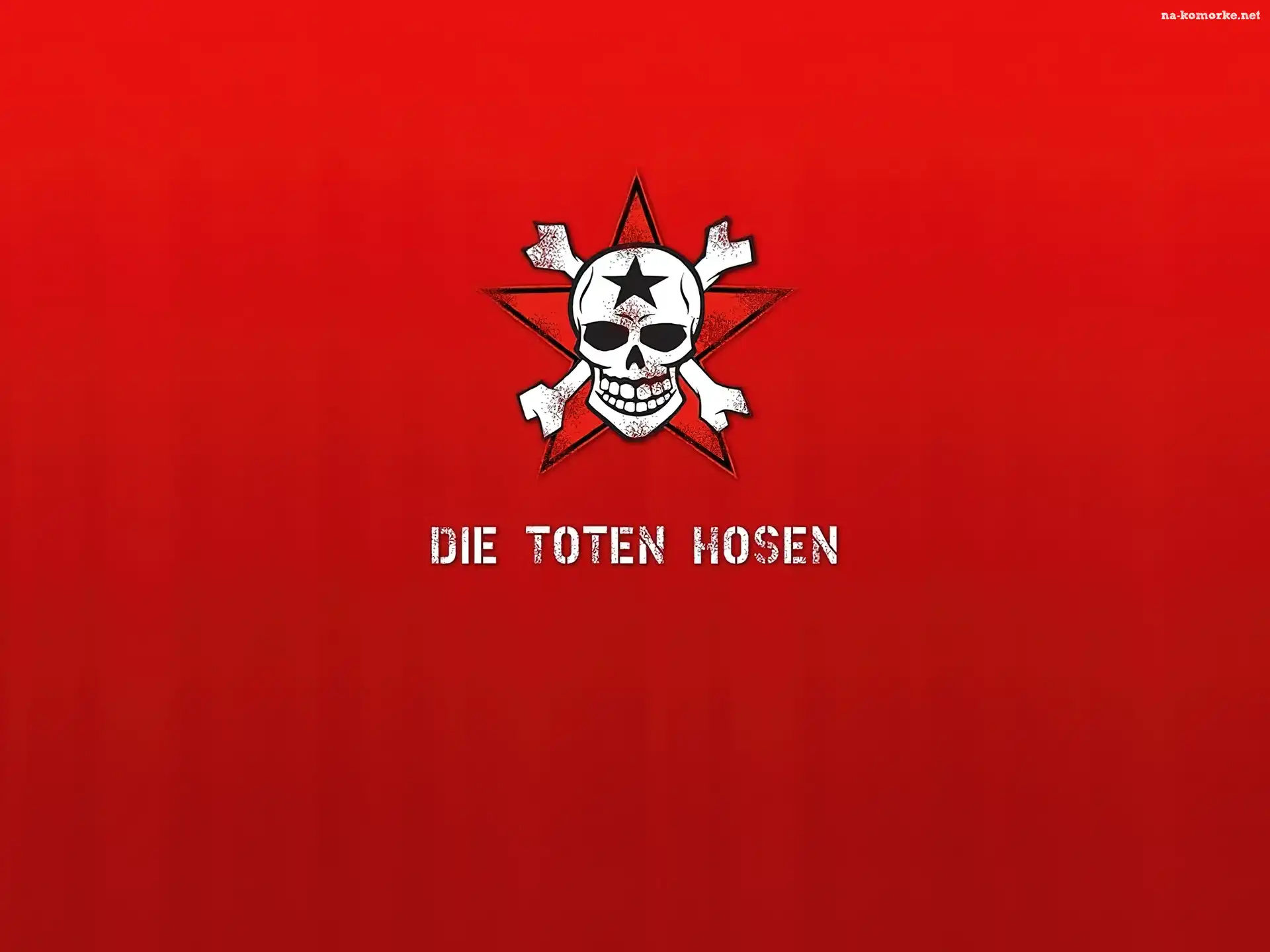 Die Toten Hosen, czaszka , kości