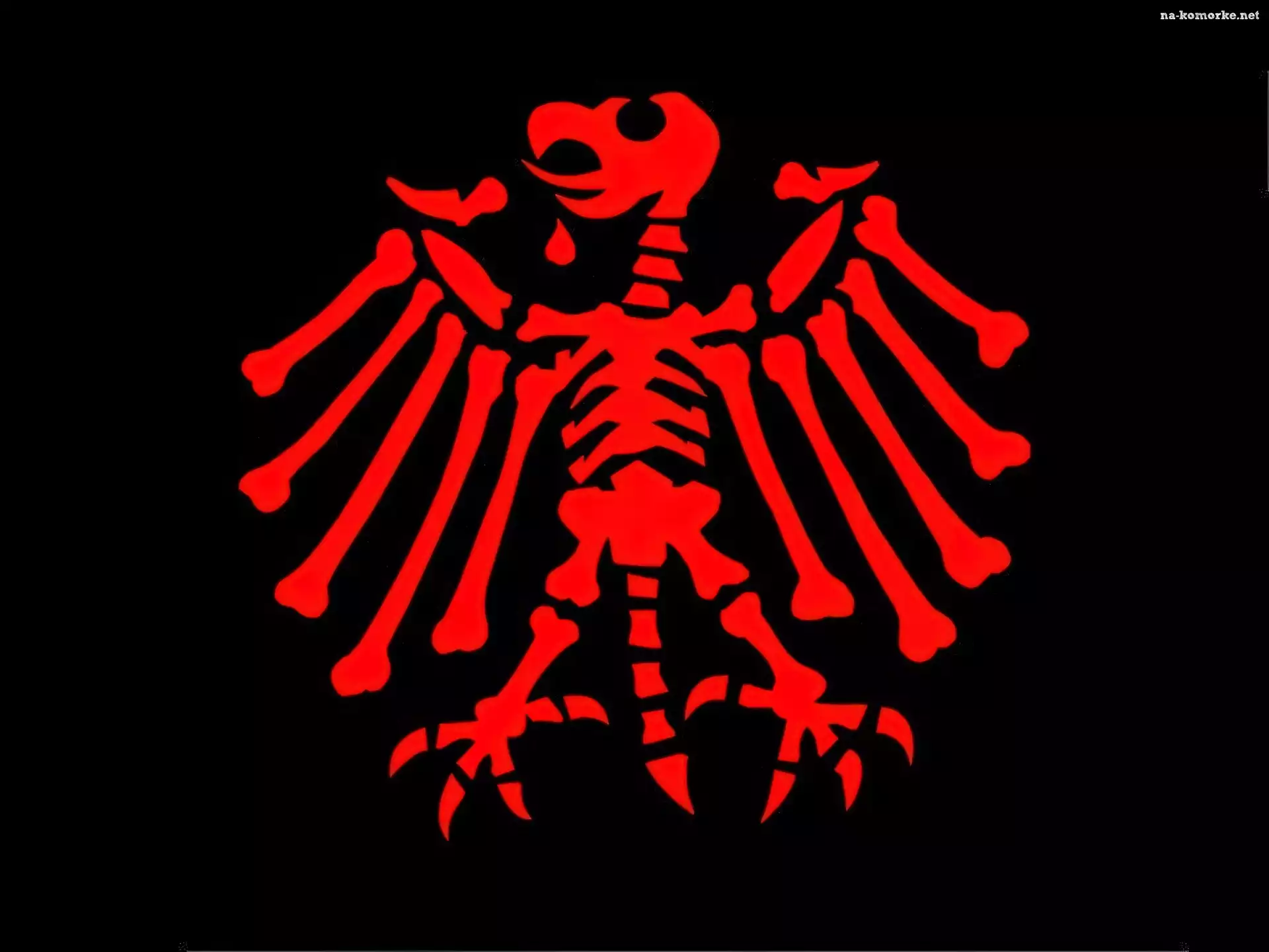 Die Toten Hosen, szkielet ptaka