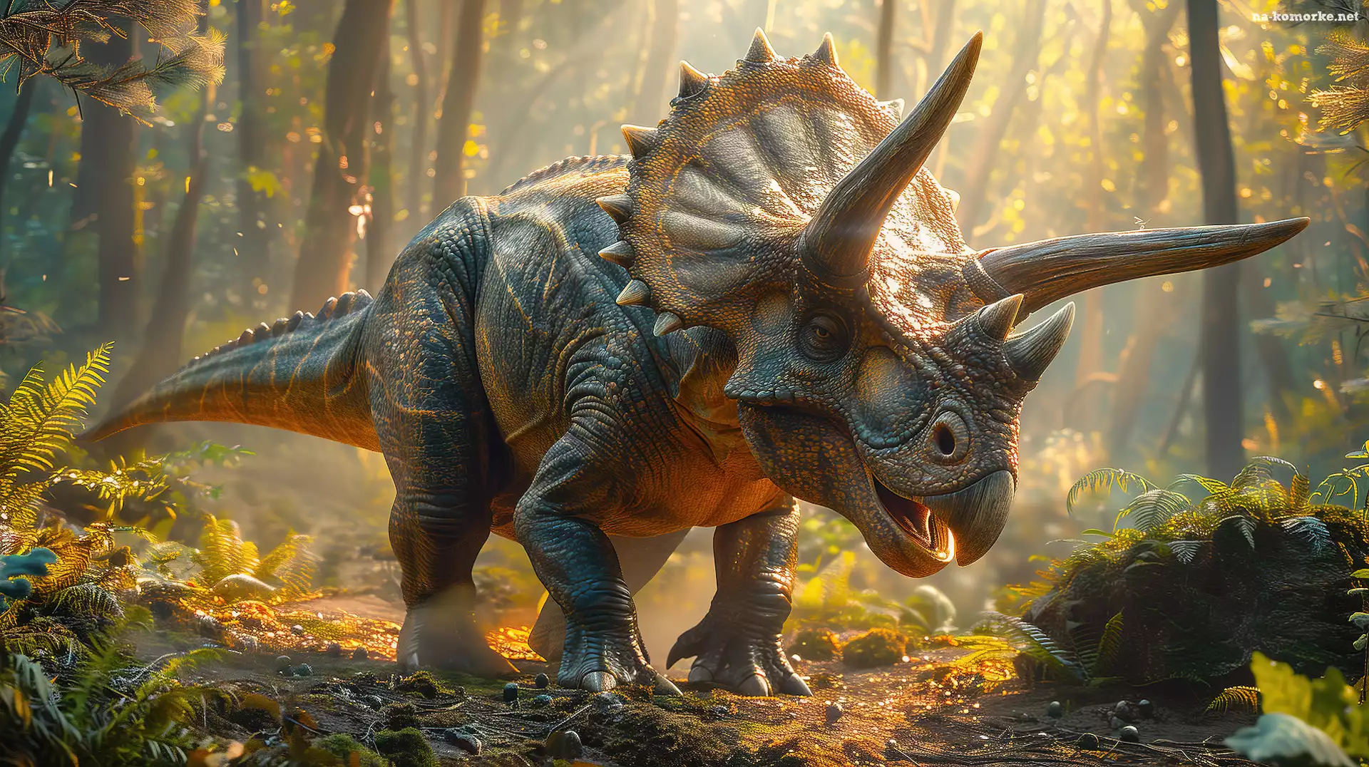 Dinozaur, Grafika, Triceratops