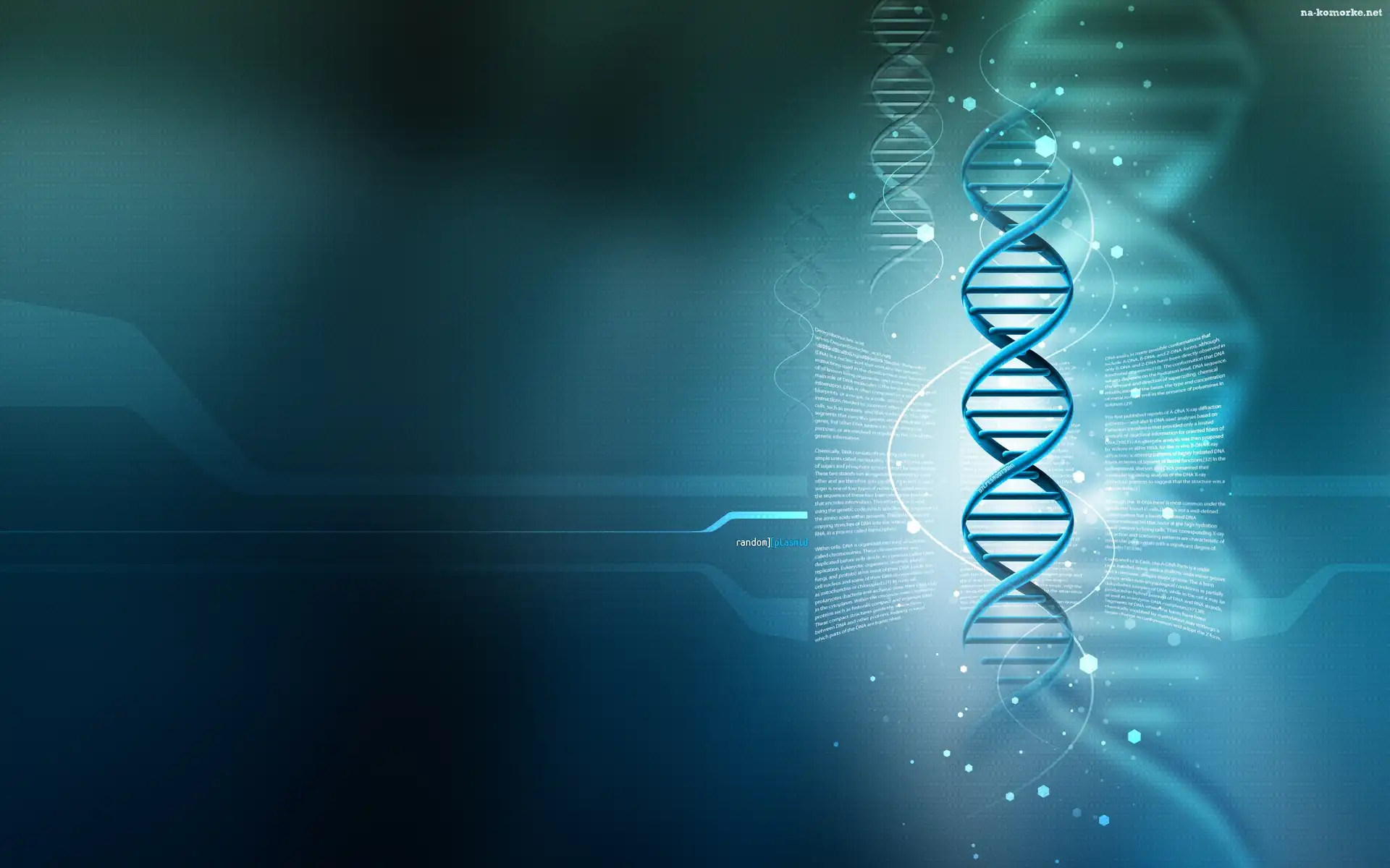 Łańcuch, DNA, 3D