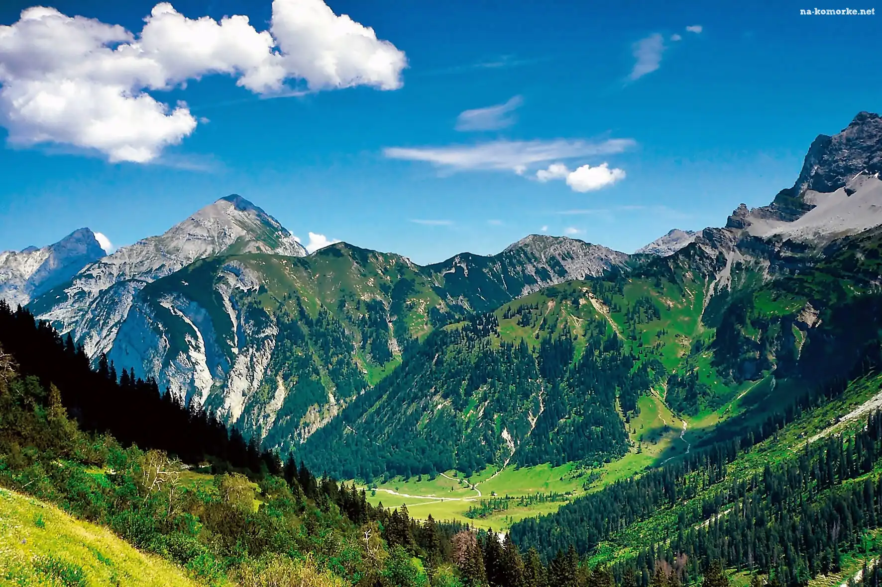 Dolina, Tyrol, Góry, Lasy, Łąki