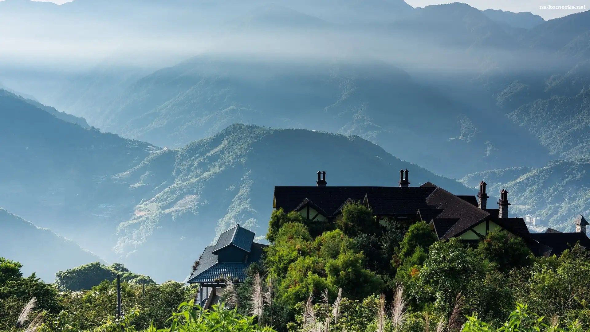 Tajwan, Mgła, Drzewa, Hrabstwo Nantou, Qingjing Farm, Góry, Dom