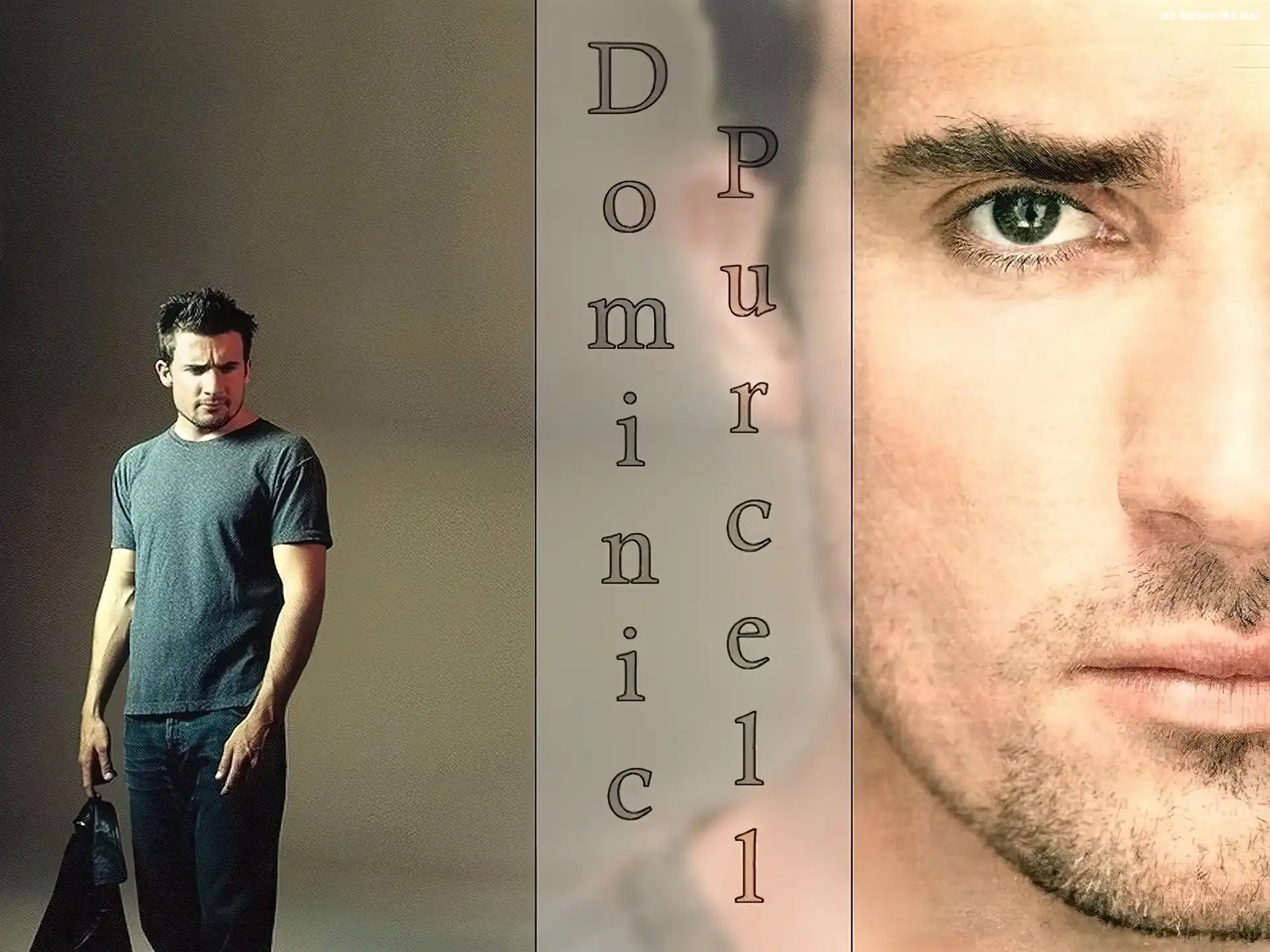 Dominic Purcell, jeansy, twarz