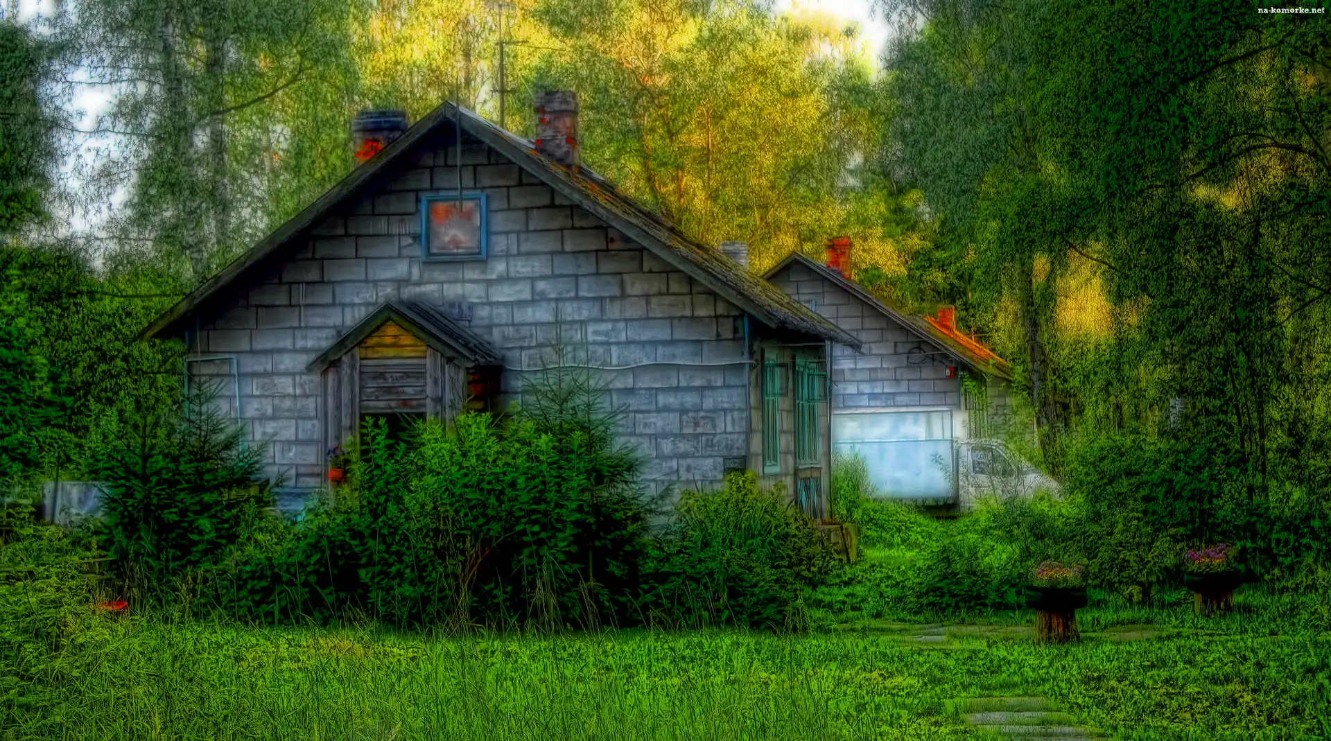 Domy, HDR, Drzewa, Roślinność