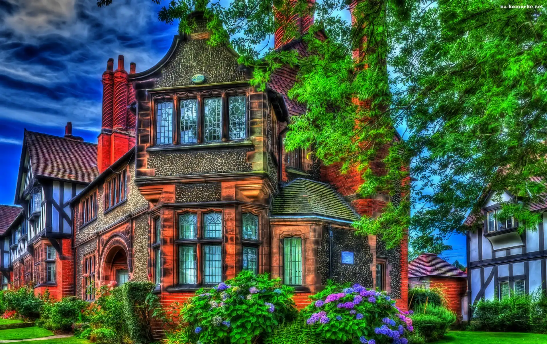 Domy, Krzewy, HDR, Drzewa