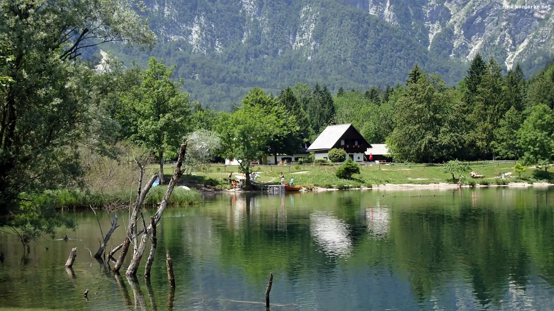 Domy, Góry, Lasy, Jezioro, Bohinj