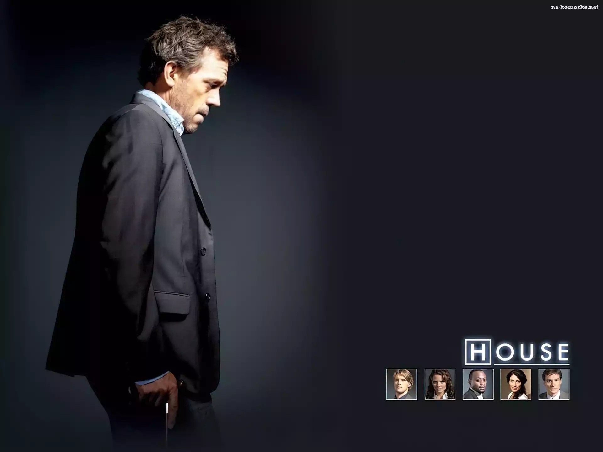 Dr. House, Hugh Lauriego