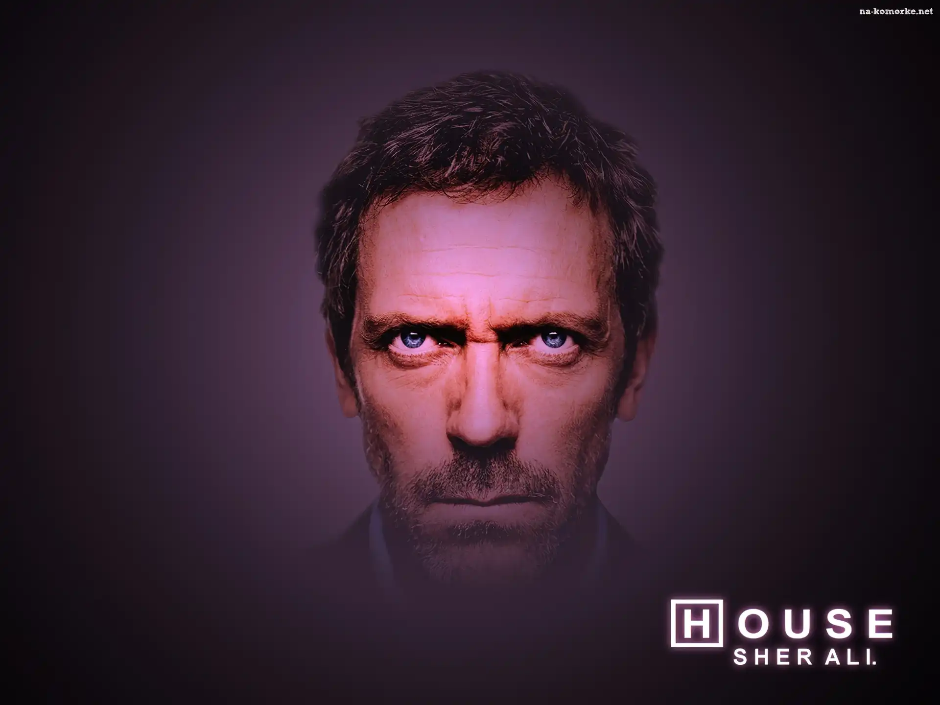 Dr. House, Hugh Lauriego, Głowa