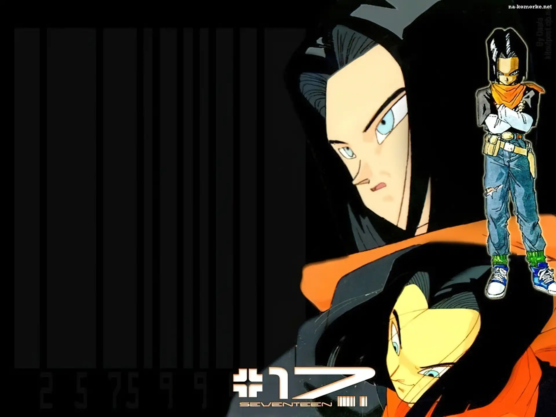Dragon Ball, Numer, 17