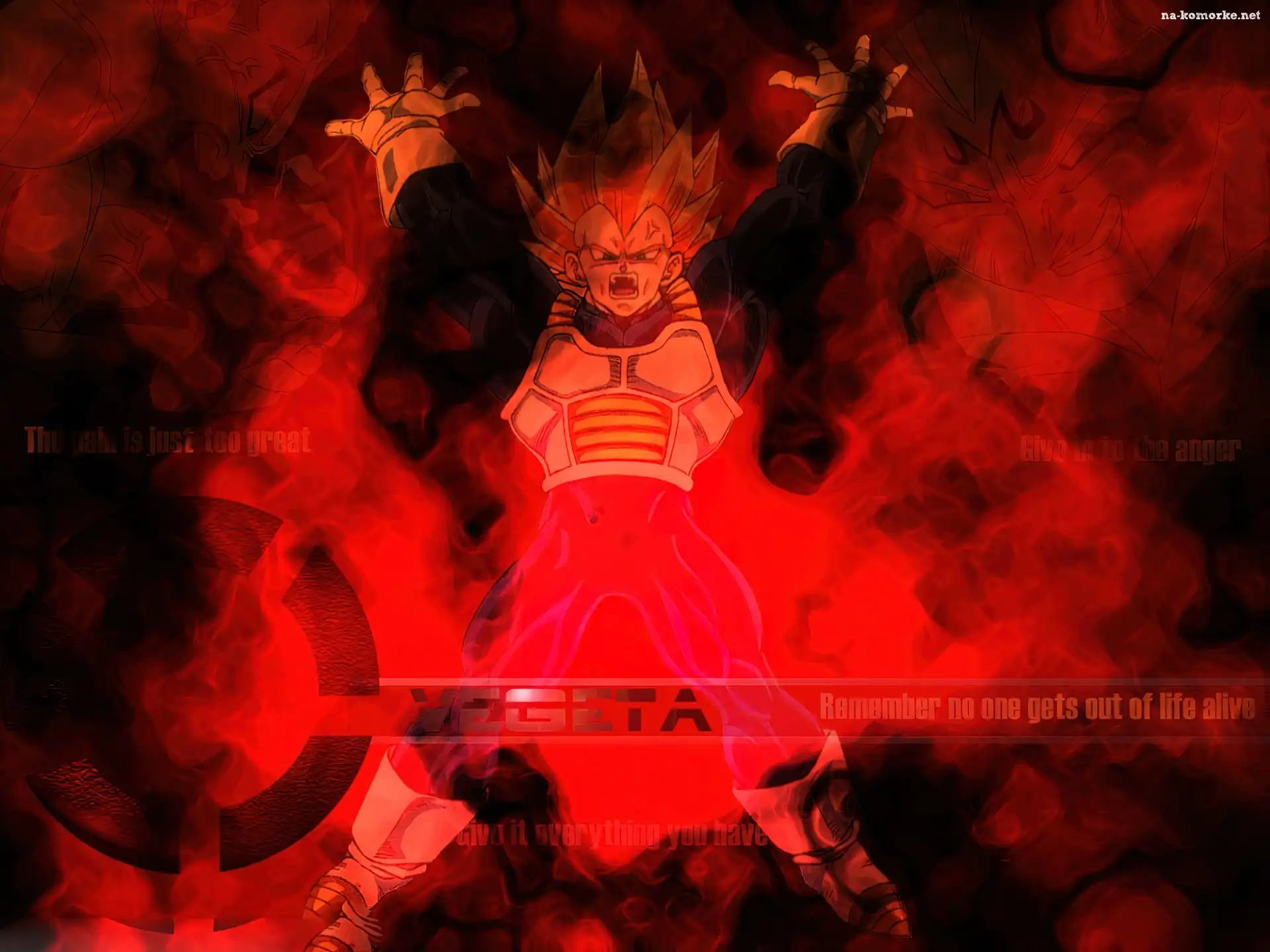 Dragon Ball Z, Vegeta