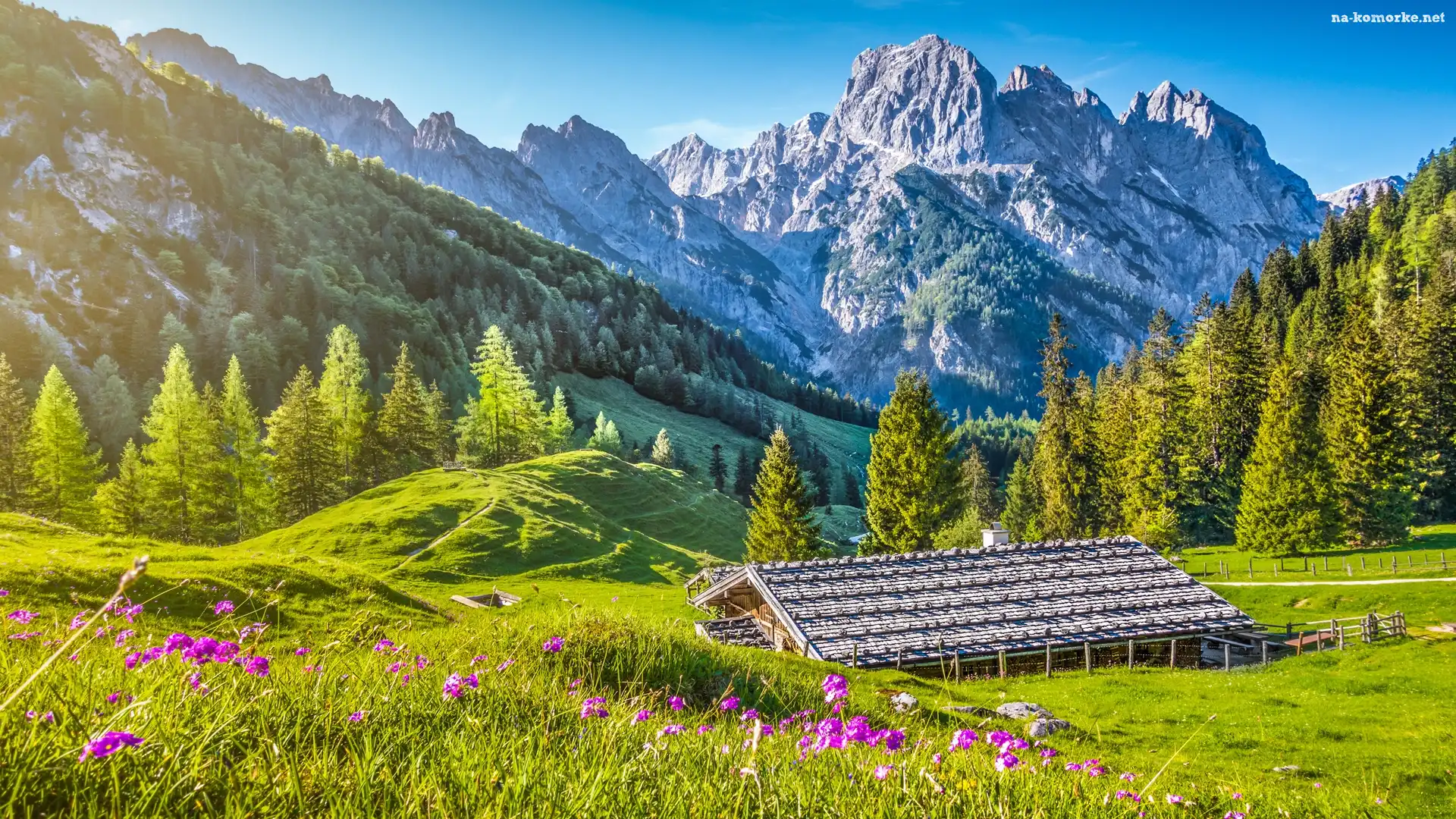 Niemcy, Budynek, Drzewa, Bawaria, Góry Alpy, Park Narodowy Berchtesgaden, Drewniany