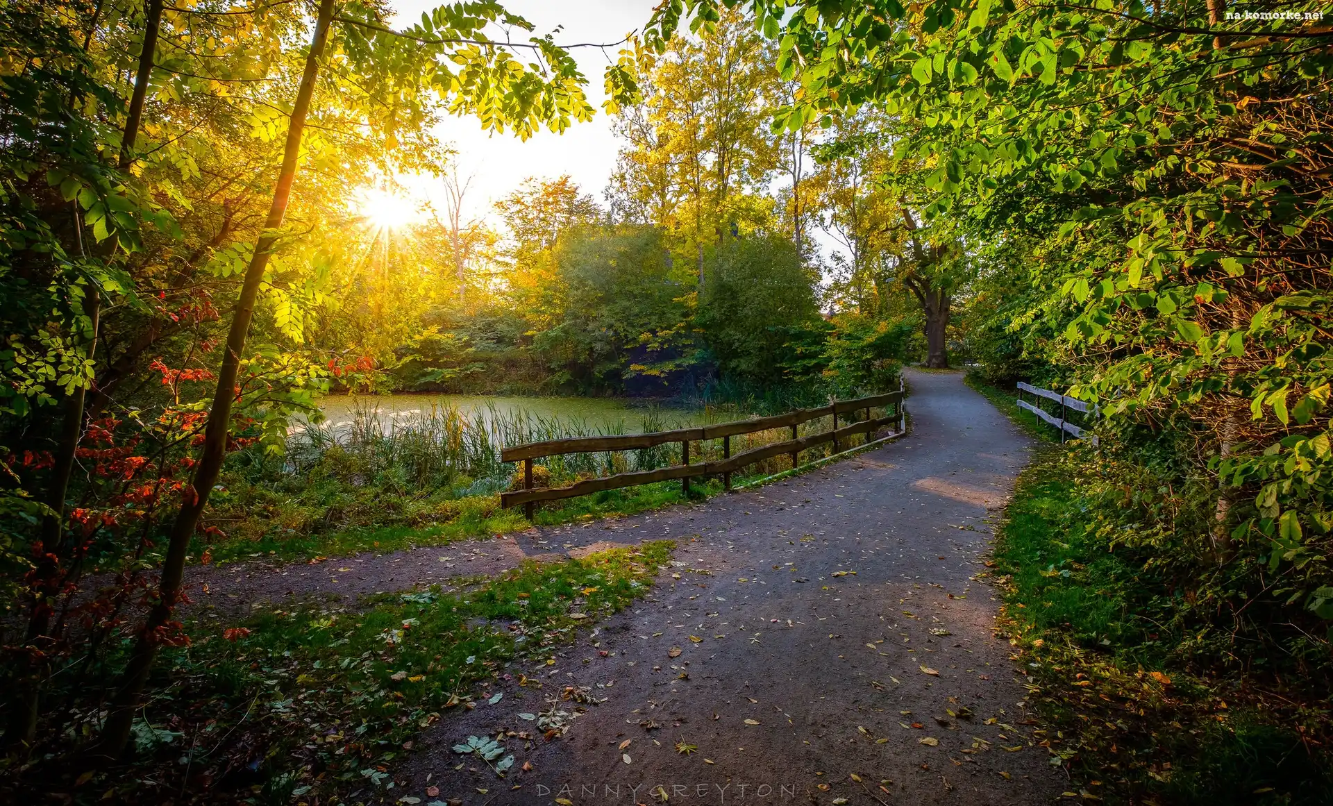 Ogrodzenie, Staw, Park, Droga