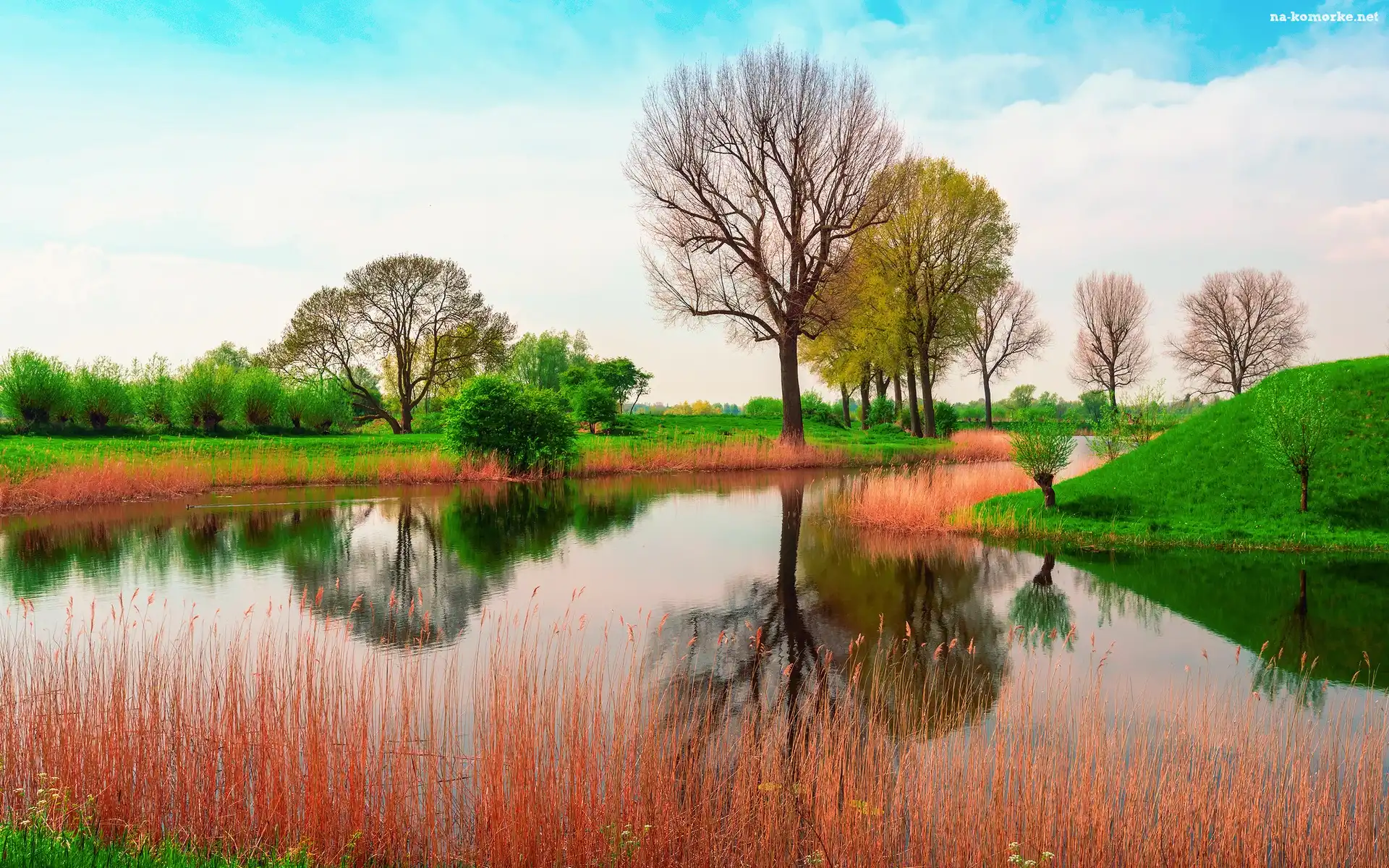 Drzewa, Trawy, Rzeka, Anglia, Łąki, Wiosna