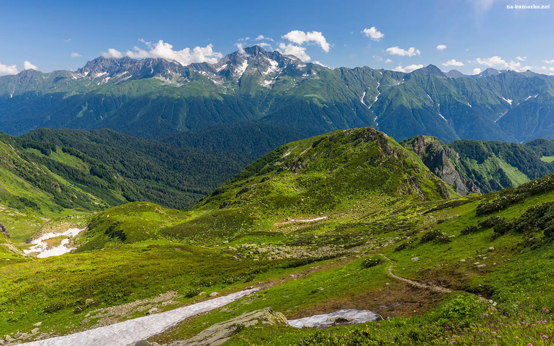 Góra, Góry, Drzewa, Mount Chugush, Rosja, Kaukaz, Kraj Krasnodarski, Chmury, Trawa