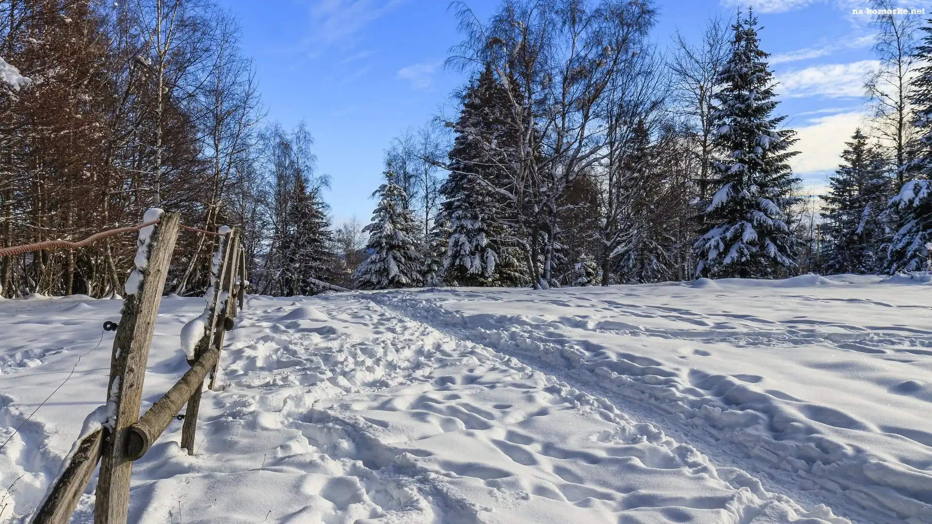 Drzewa, Zima, Śnieg, Ścieżka, Ogrodzenie