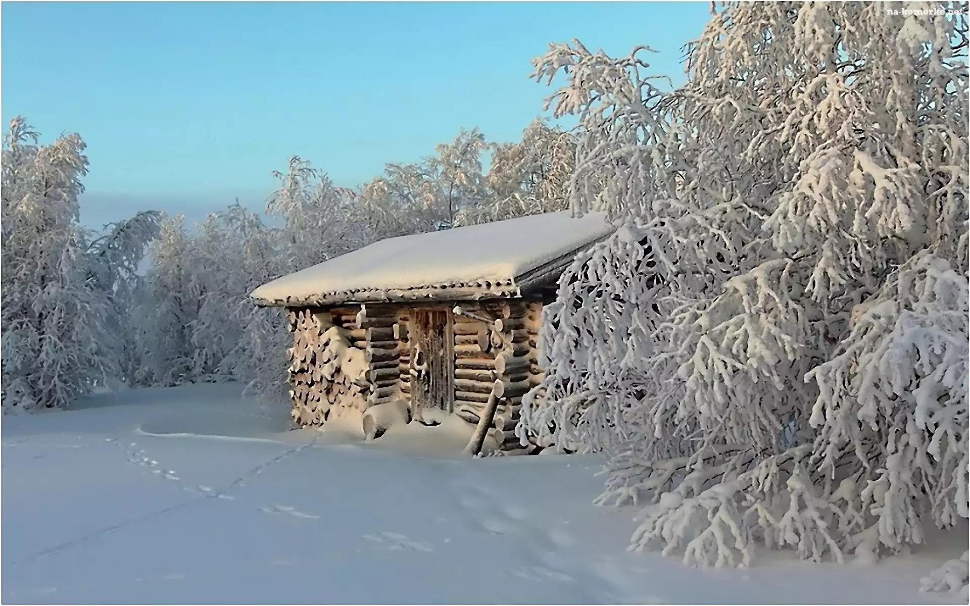Drzewa, Piękna, Zima, Domek, Ośnieżone