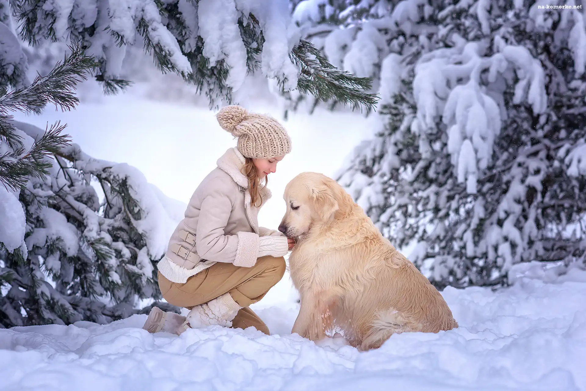 Dziewczynka, Drzewa, Zima, Golden retriever, Śnieg, Pies