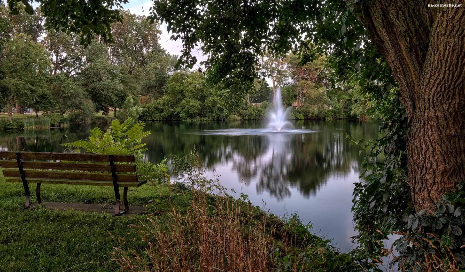 Drzewa, Park, Staw, Fontanna, Ławka