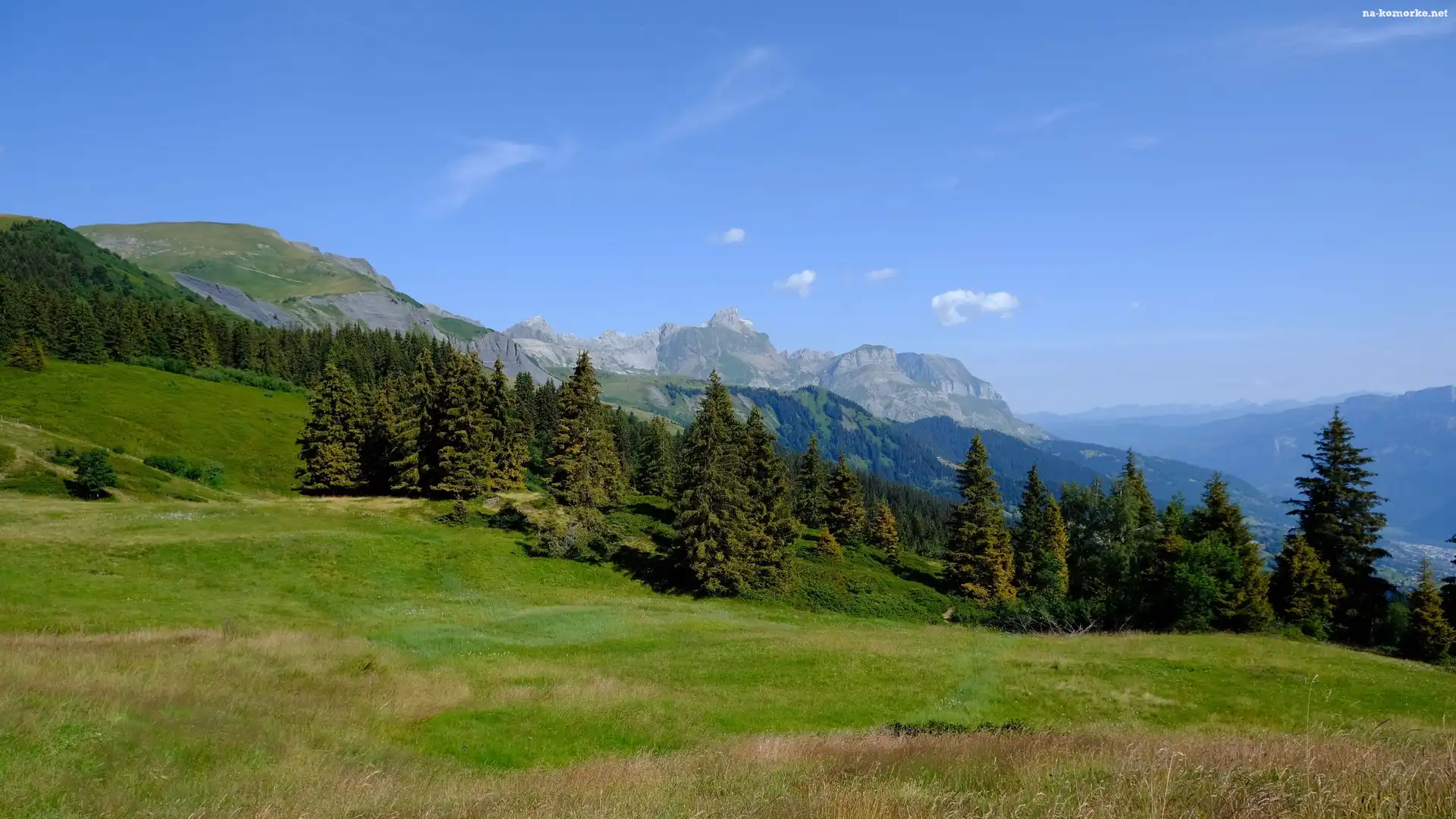 Góry, Drzewa, Trawa