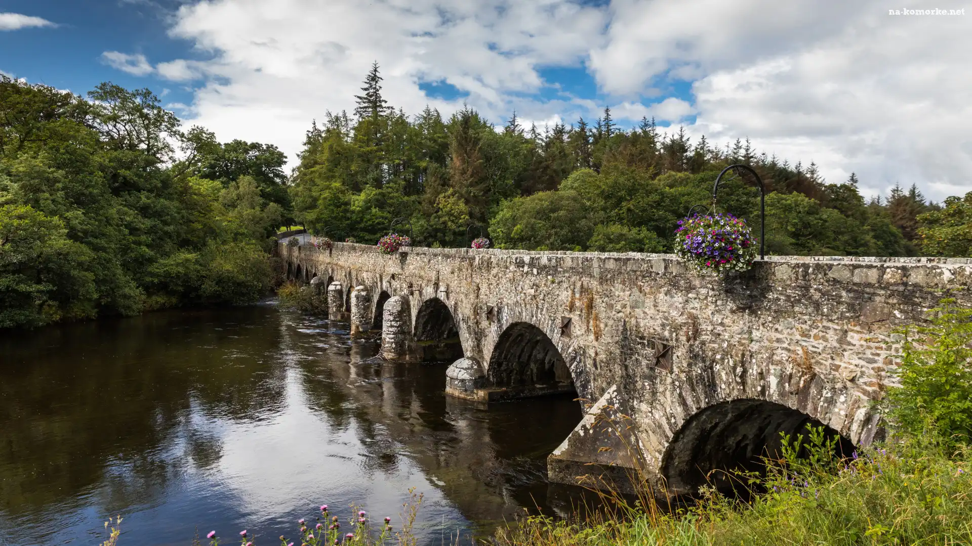 Irlandia, Las, Wieś Beaufort, Drzewa, Hrabstwo Kerry, Rzeka Laune, Most kamienny Beaufort Bridge, Rzeka