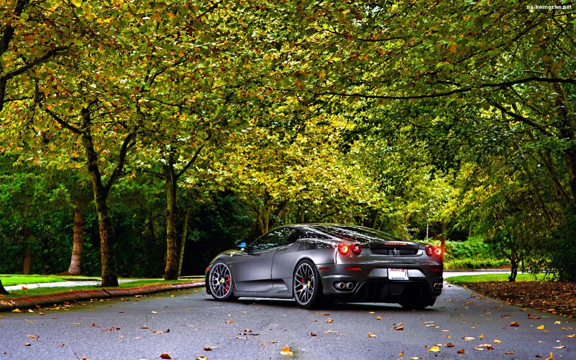 Drzewa, Ferrari, F430, Jesień, Droga