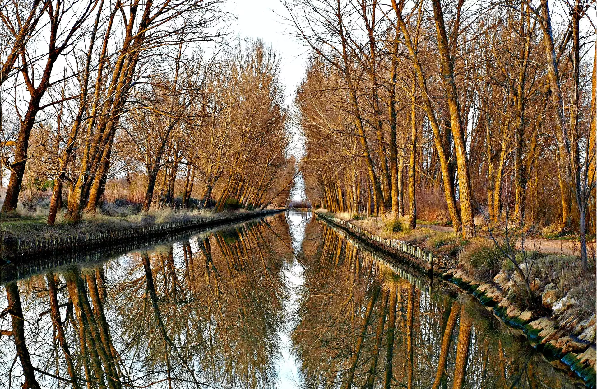 Jesień, Drzewa, Kanał